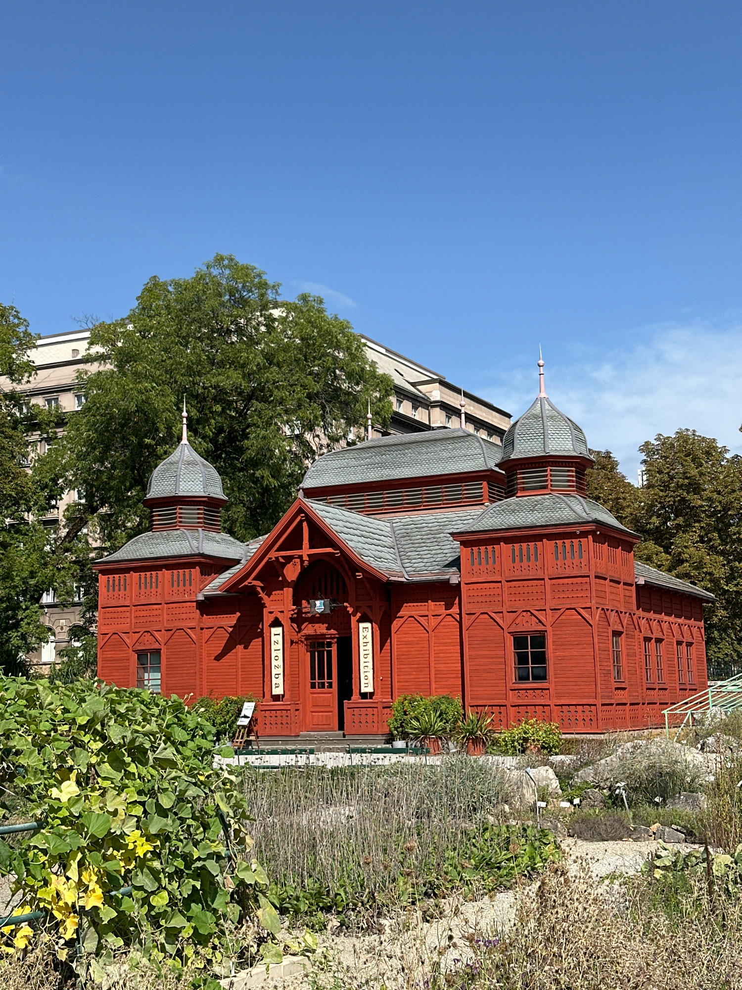 The image shows a brightly painted red wooden building with ornate architectural details, possibly an exhibition hall or botanical garden pavilion, set against a backdrop of lush green trees and a clear blue sky. The building features multiple gabled roofs with dark grey shingles, decorative trim, and two small domed towers topped with finials. Signs labeled "Izložba" and "Exhibition" are visible near the entrance. In the foreground, a variety of plants, including leafy green vines and dried grasses, are growing in a garden setting. Behind the red building, a larger, modern building with light-colored facades can be seen. The scene appears to be a public space, likely a park or botanical garden, in an urban environment.
The building is the Palm House (Palača Zrinski) in the Botanical Garden of the Faculty of Science, University of Zagreb, located in the city of Zagreb, Croatia. The Palm House itself is a historic structure that houses various plant collections.