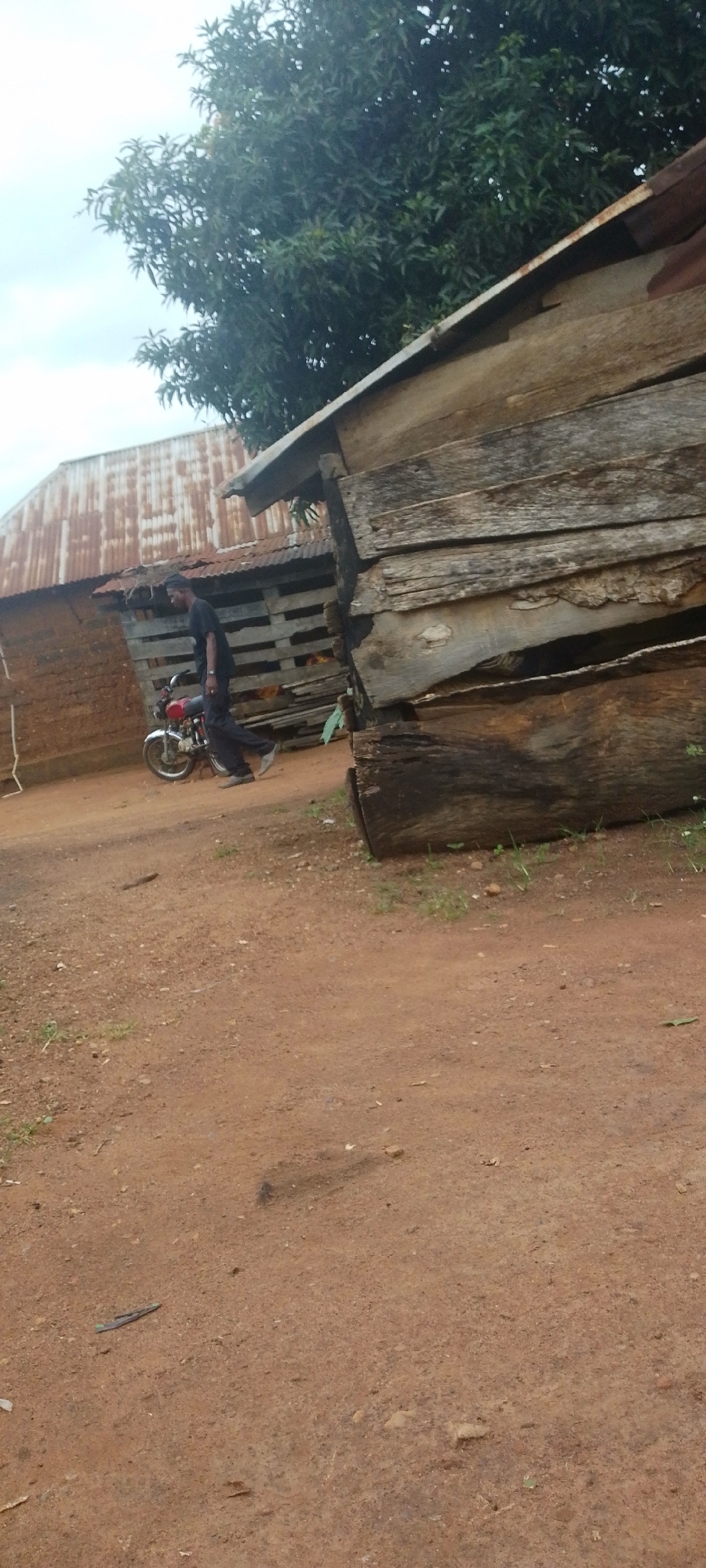 A person dressed in black walks beside a red motorcycle in a rural setting. The person is wearing a black t-shirt, black pants, and a black cap. They are walking from right to left, their body facing slightly towards the motorcycle. The motorcycle is parked on a dirt path. Behind the motorcycle and person are two structures. The first is a building with a rusted corrugated metal roof and brick walls. The second is a wooden structure made of stacked logs. The ground is a reddish-brown dirt, with sparse patches of dry grass. In the background, a large tree with green leaves partially obscures the sky, which is overcast. The scene appears to be in a village or rural area, consistent with the location of Baissa, Nigeria.