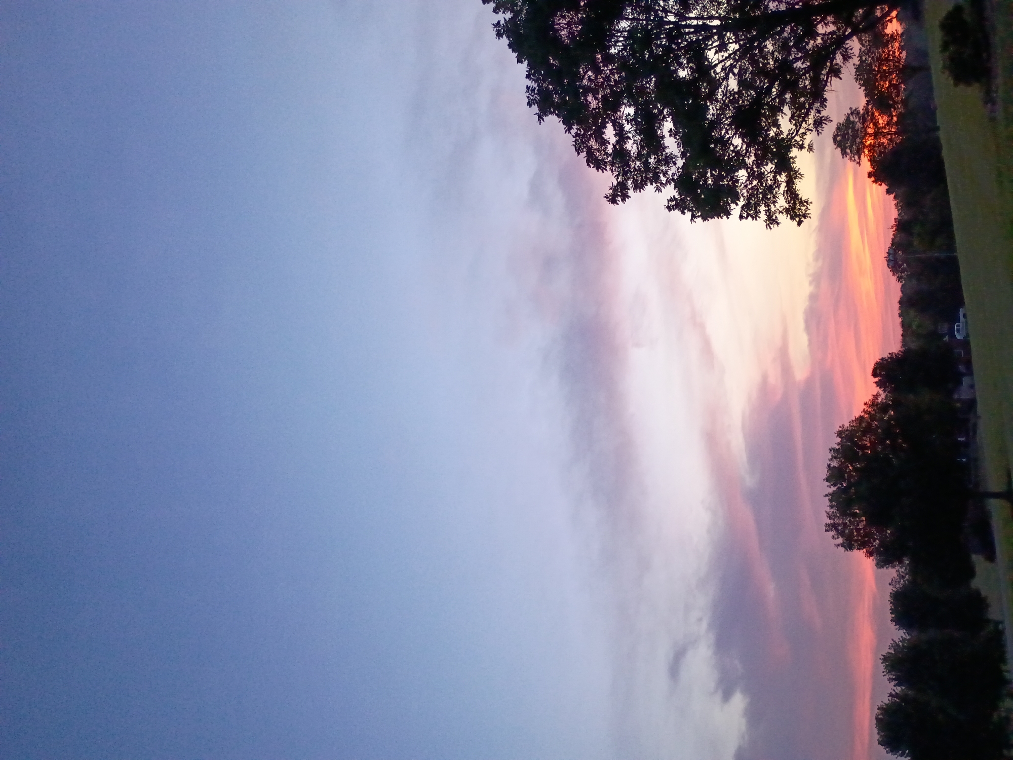 The image depicts a landscape scene at dusk, likely in Versailles, United States. The sky displays a gradient of colors, transitioning from a pale blue at the top to soft pinks and oranges near the horizon, indicating a sunset. Wispy clouds are scattered across the sky. In the foreground, a grassy field slopes downwards. A line of trees, silhouetted against the colorful sky, stretches across the mid-ground. A large tree with dense foliage is prominently featured on the right side of the image. In the far distance, faint outlines of buildings and a white vehicle are visible. The overall atmosphere is tranquil and serene.