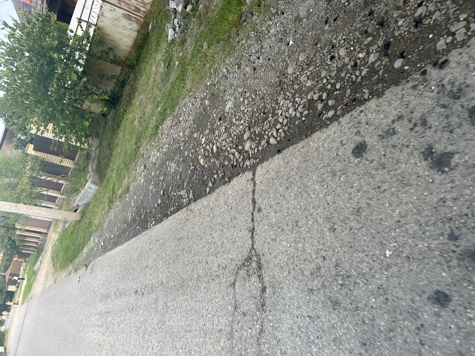 The image depicts a street scene in Apsheronsk, Russia. In the foreground, a paved road with visible cracks runs diagonally across the frame. Adjacent to the road is a gravelly shoulder with scattered rocks and debris. Beyond the shoulder, a patch of dry grass is visible. In the background, a beige concrete fence runs along the property line, bordered by a rusty metal fence. A dense green tree with full foliage stands to the right of the fence, casting shadows on the ground. Further in the distance, the rooflines of houses and another fence with brick pillars are visible. Several people, appearing as small figures, are walking on the road in the far distance.