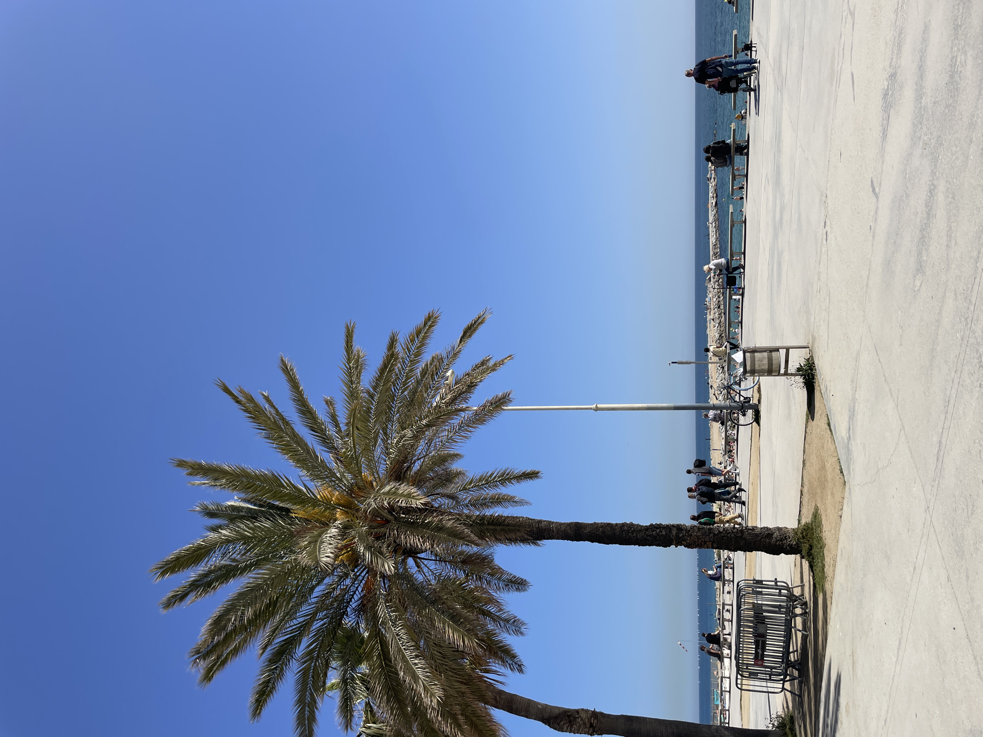 The image shows a palm tree on the right side, with the trunk close to the lower edge, and the fronds reaching to the top left. The sky is clear blue, taking up the majority of the frame.
On the right side, there is a paved area with a concrete sidewalk and metal railings. People can be seen walking, standing, and sitting near the railing overlooking the water. In the background, the blue water extends to the horizon, where the sky blends in. Some objects are visible like parked bicycles, lamp posts, metal bins.
Based on the presence of palm trees, a waterfront walkway, and a beach, it's likely this image was taken in Barcelona, Spain.