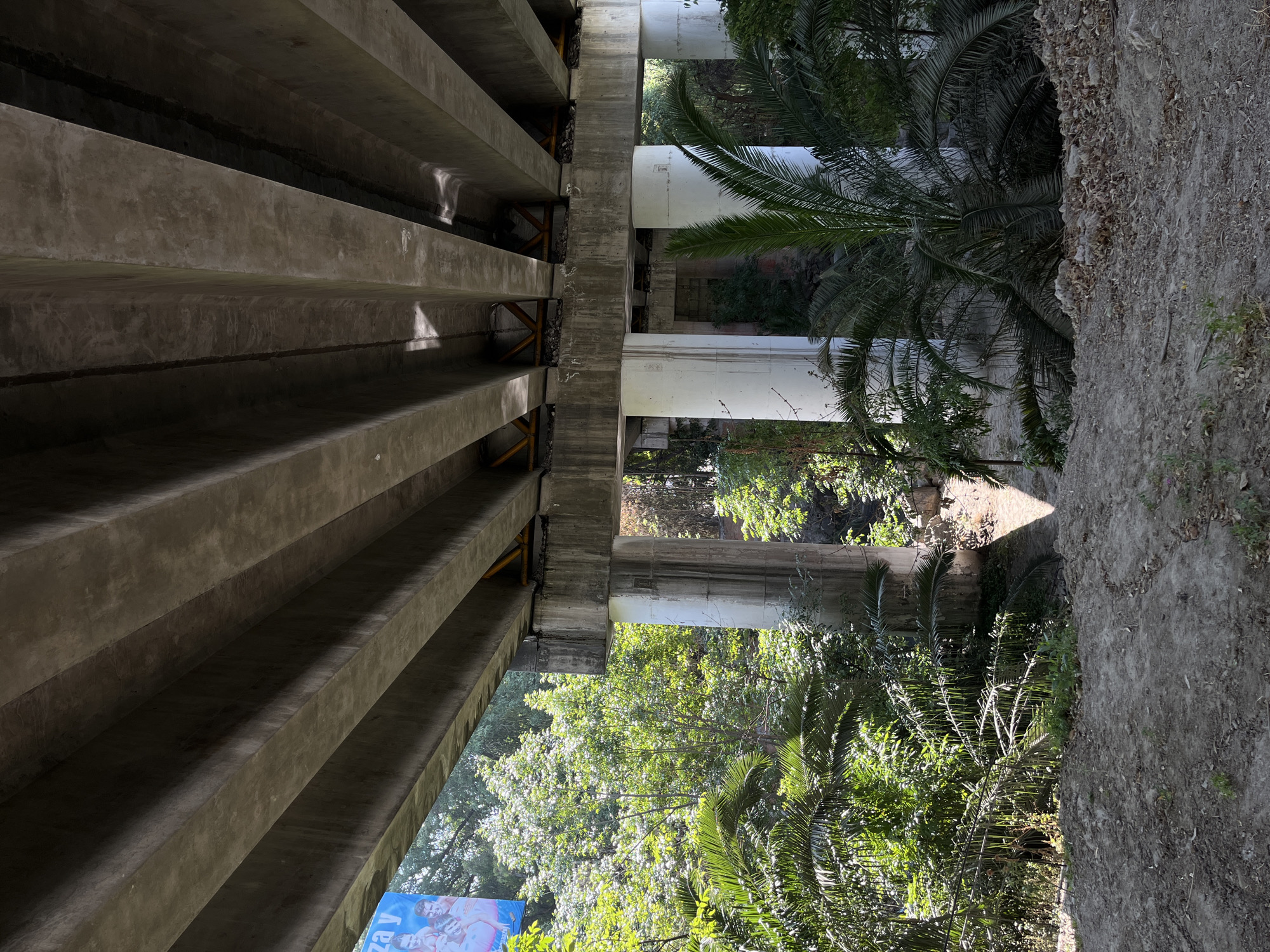 This photograph was taken in San Bernardino Tlaxcalancingo, Mexico. The image is oriented vertically and depicts the underside of a concrete overpass bridge supported by pillars.
On the left side of the frame, angled upwards, are several parallel, horizontal concrete beams of the overpass structure. Yellow-painted metal supports are visible beneath the horizontal beams, where they connect to the vertical columns.
The right side of the frame shows the landscape alongside the bridge. Three white pillars supporting the overpass rise amongst foliage including trees, shrubs and a palm tree. The ground near the right edge of the image is dirt.
In the lower-left corner, a blue sign is visible, partially obscured by the overpass beams.