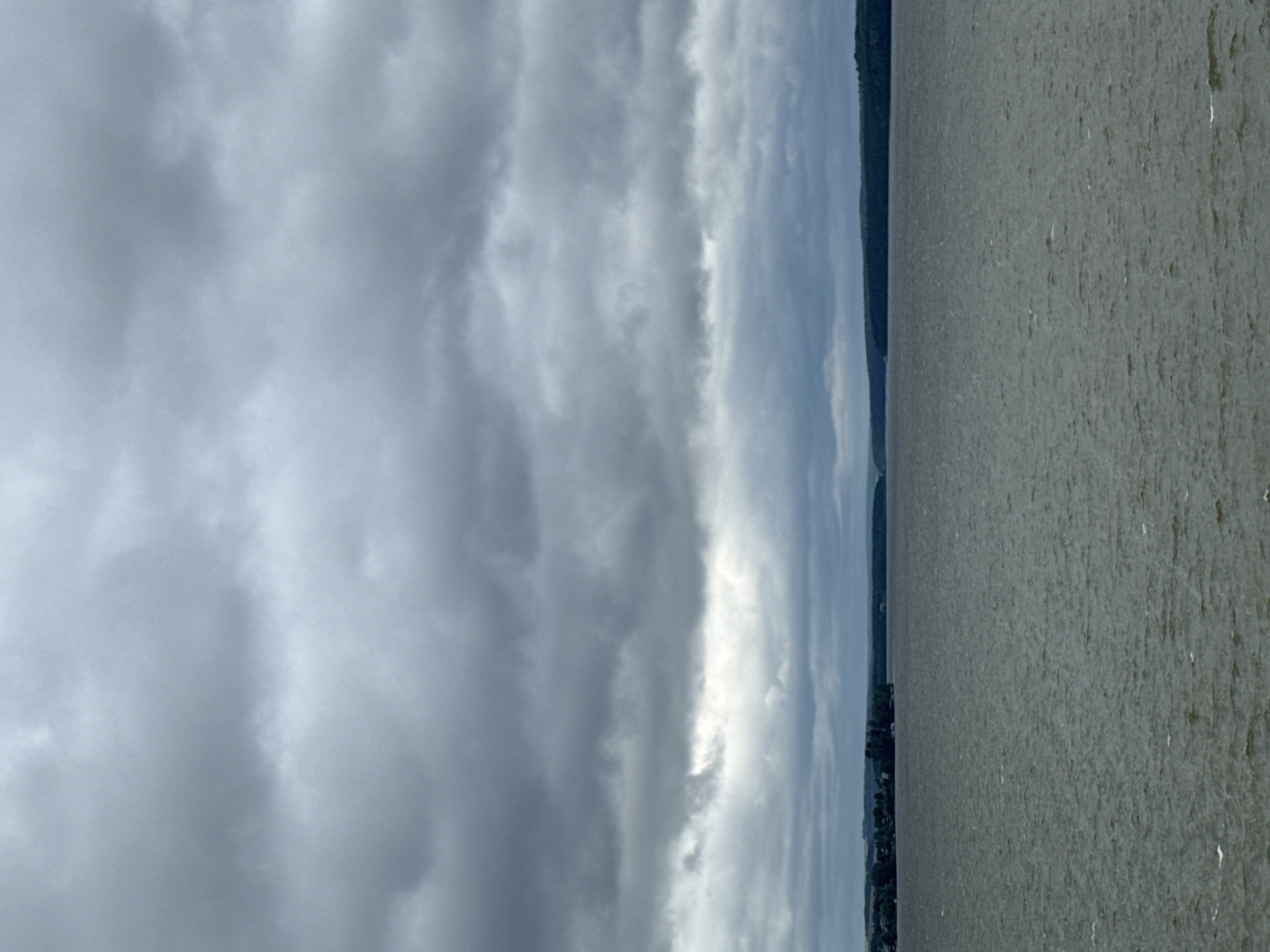 The image depicts a serene natural landscape featuring a body of water and a cloudy sky. On the right side of the frame, a vast expanse of water dominates, appearing somewhat choppy with subtle ripples reflecting the overcast sky. The water's surface is a muted grey-green, suggesting depth and perhaps a slightly murky quality. Scattered across the water are small, white specks that could be distant birds or other small objects.
To the left of the water, a thin strip of land is visible, lined with a dense, dark green forest that rises up in the background. The tree line forms a sharp, dark silhouette against the sky. On the very edge of the land, a small collection of buildings can be discerned, suggesting a settlement or a few houses nestled amongst the trees.
The sky above is filled with a dramatic display of clouds. Large, heavy clouds in shades of grey and white stretch horizontally across the frame, creating a sense of depth and texture. There are lighter, brighter areas within the clouds, hinting at the diffused light of an overcast day, possibly late afternoon or early morning given the soft lighting. The overall mood is calm and somewhat melancholic, evoked by the muted colors and the extensive cloud cover. There is no visible text in the image. The scene is likely a natural setting in or near Votkinsk, Russia, given the provided location context.