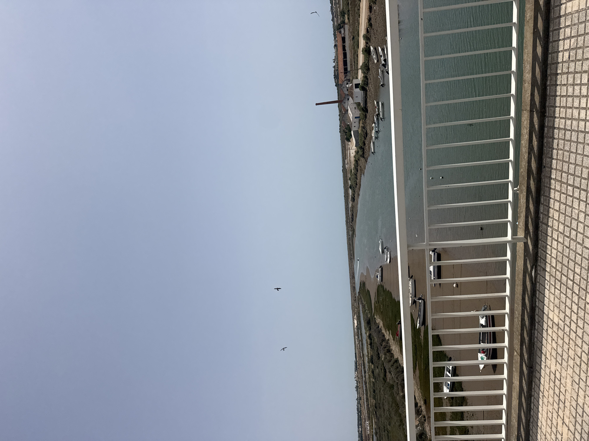 The image captures a waterfront scene, viewed from an elevated position, possibly a balcony or high-rise building. In the foreground, a white railing divides the viewpoint from the scene below. The ground beneath the railing is covered in square paving stones.
The central area of the image shows a body of water, likely a river or estuary, with boats moored along the near bank. On the opposite bank, a narrow strip of land is visible, lined with vegetation and a road. Further inland, there are buildings, including a structure with a tall chimney.
In the sky above, there are a few birds flying. The sky itself is a light blue color, suggesting clear weather. The image composition and the presence of boats suggest that this is a coastal or riverside area, but without additional context, the precise location remains unknown.