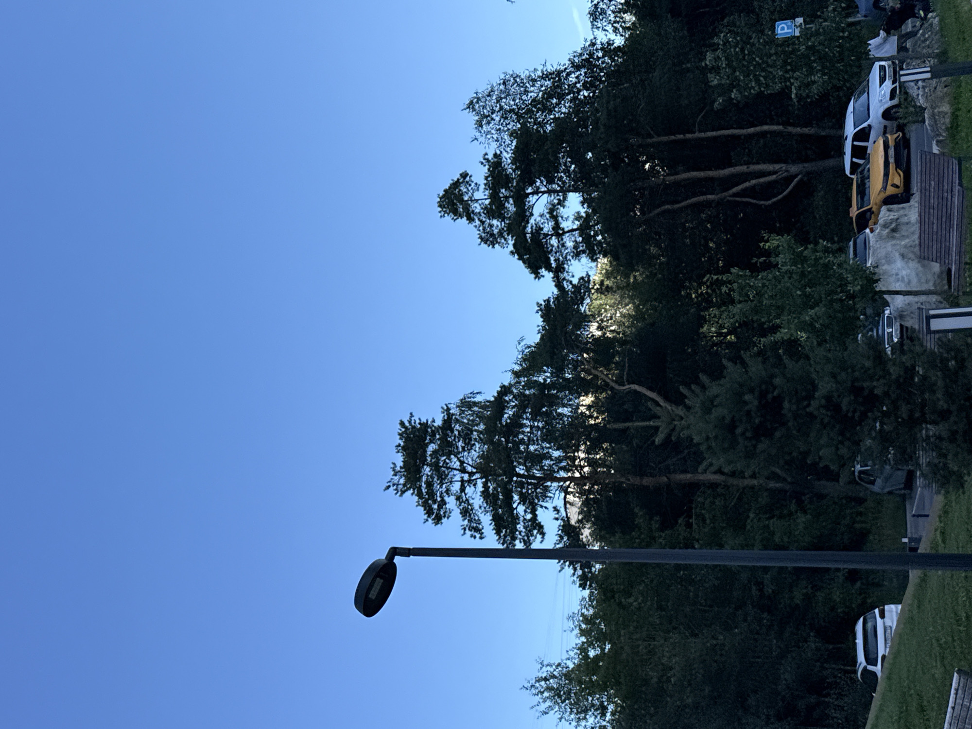 A tall, slender dark grey street lamp with an oval light fixture stands prominently in the foreground, angled slightly to the left. Behind it, a dense collection of trees, primarily tall pines with sparse foliage, dominates the middle ground. The trees are set against a clear, bright blue sky. In the lower left of the image, a white car is parked on a grassy incline. To the right, partially obscured by trees, is a parking area with several cars, including a yellow car and a white SUV. A blue parking sign with a white 'P' is visible on the right side of the frame, near the trees. The scene appears to be an outdoor parking area adjacent to a wooded or park-like area, likely in or near the city of Tomilino, Russia, given the context.