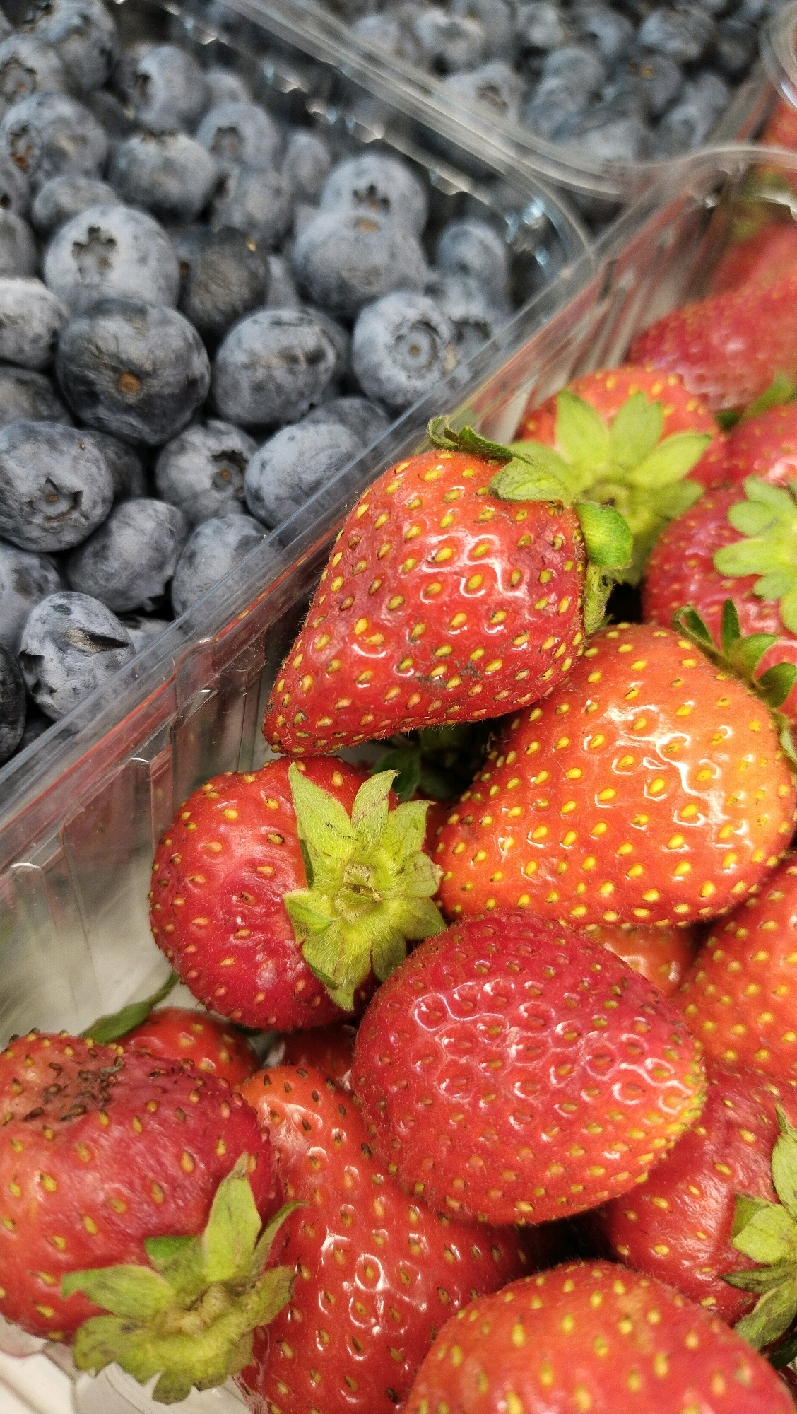 This is a close-up, high-angle, indoor shot of fresh blueberries and strawberries in clear plastic containers, likely taken in a grocery store in Horishni Plavni, Ukraine. The blueberries, a muted grey-blue, are packed tightly in the upper left section of the frame. The strawberries, a vibrant red, fill the lower right, some with visible green tops. The focus is sharp on the fruit, with a shallow depth of field blurring the background. There are no people or any indication of activity. The lighting appears to be artificial, common in a retail setting.