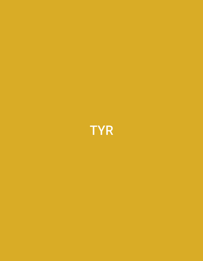 The image displays a solid, monochromatic background in a mustard yellow hue. Prominently featured are two identical instances of the word "TYR" rendered in white, sans-serif, uppercase text. One instance is positioned in the upper-center portion of the image, while the second instance is located precisely in the vertical and horizontal center. No other objects, subjects, figures, or environmental details are discernible within the frame. This visual content is associated with a location in Casablanca, Morocco, suggesting it represents a minimalistic advertisement, branding display, or signage for the TYR sporting goods brand within that city.