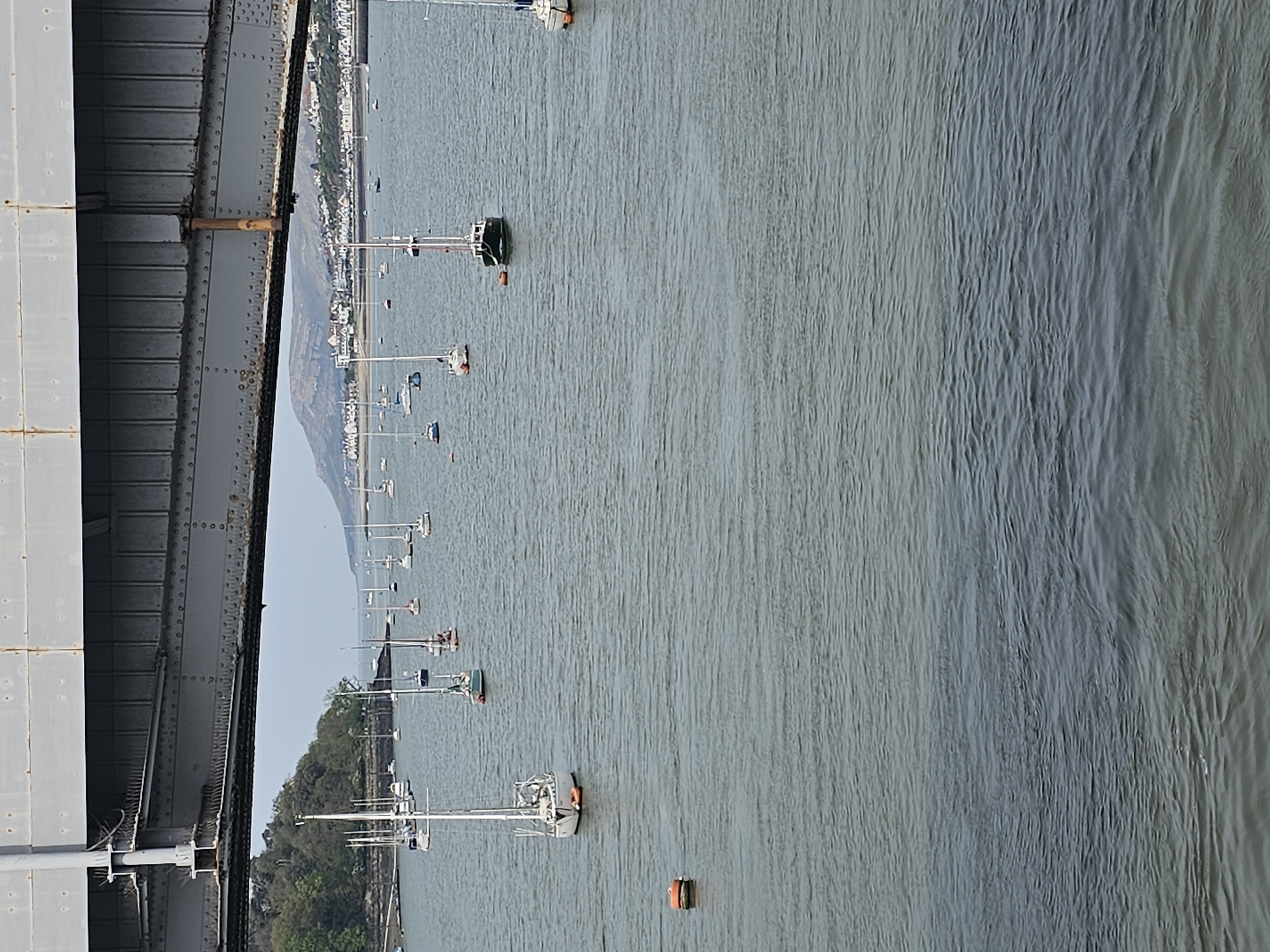 This image, taken from a high vantage point on a bridge structure in Llandudno Junction, United Kingdom, shows a waterway with numerous sailboats anchored and scattered across the water. The boats are mainly white, with some having colored accents. The surface of the water has light ripples and variations in shading, suggesting a subtle current or wind.
On the left side of the frame, a portion of the bridge structure is visible, constructed of gray metal plates and beams. The bridge appears to be substantial in size and possibly made of steel or similar material. The opposite shoreline is lined with buildings and vegetation. A line of trees follows the edge of the water. The buildings are mostly light-colored, potentially houses or commercial structures. The horizon is somewhat hazy, with a pale sky.