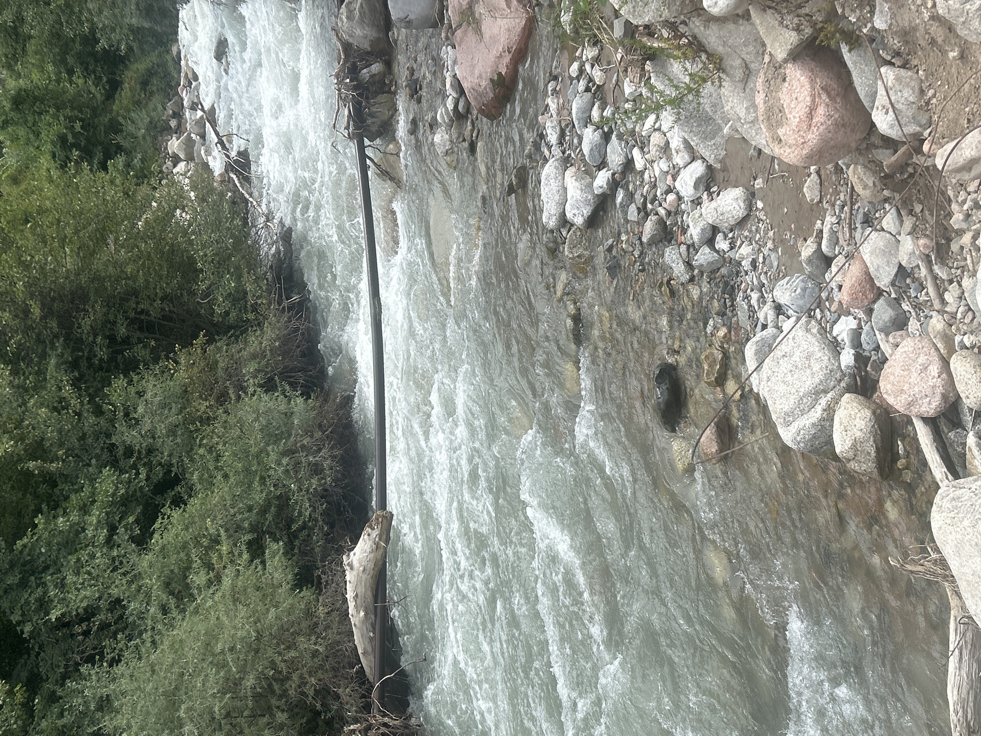 The image shows a mountain river flowing through a rocky terrain with lush green vegetation on the banks. A large fallen tree trunk stretches across the river, acting as a makeshift bridge. The water is turbulent and appears to be fast-flowing, with white rapids and eddies. The riverbed is lined with various sizes of stones, from small pebbles to larger boulders. The surrounding environment suggests a natural, undeveloped area, consistent with the mountainous landscape of Koklaisai, Kazakhstan. There are no people or animals visible in the image, and no discernable human activity beyond the presence of the tree trunk spanning the river.
