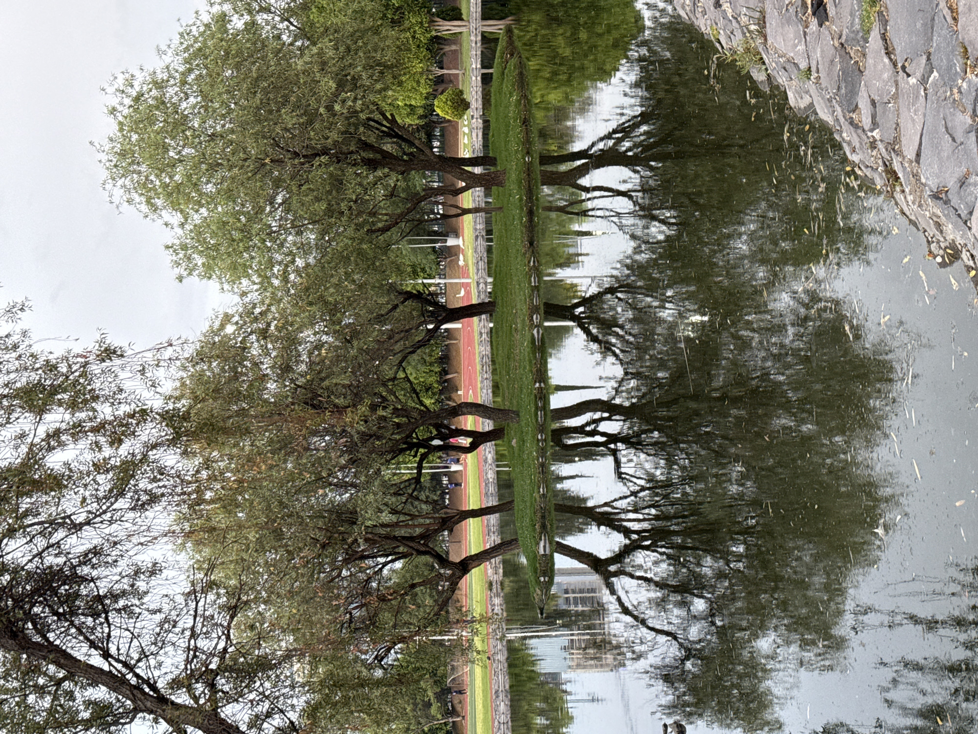 This is a photograph taken in the city of Puebla, Mexico. The view shows a pond that reflects the surrounding environment. The dominant feature is a row of trees along the edge of the pond, their reflections clearly visible in the water. Behind the trees, a grassy area leads to a running track with red lanes. The environment appears to be a park. The sky is overcast. On the right side of the pond, there's a stone or concrete embankment. The overall scene depicts a tranquil urban park setting with a prominent water feature and recreational area.