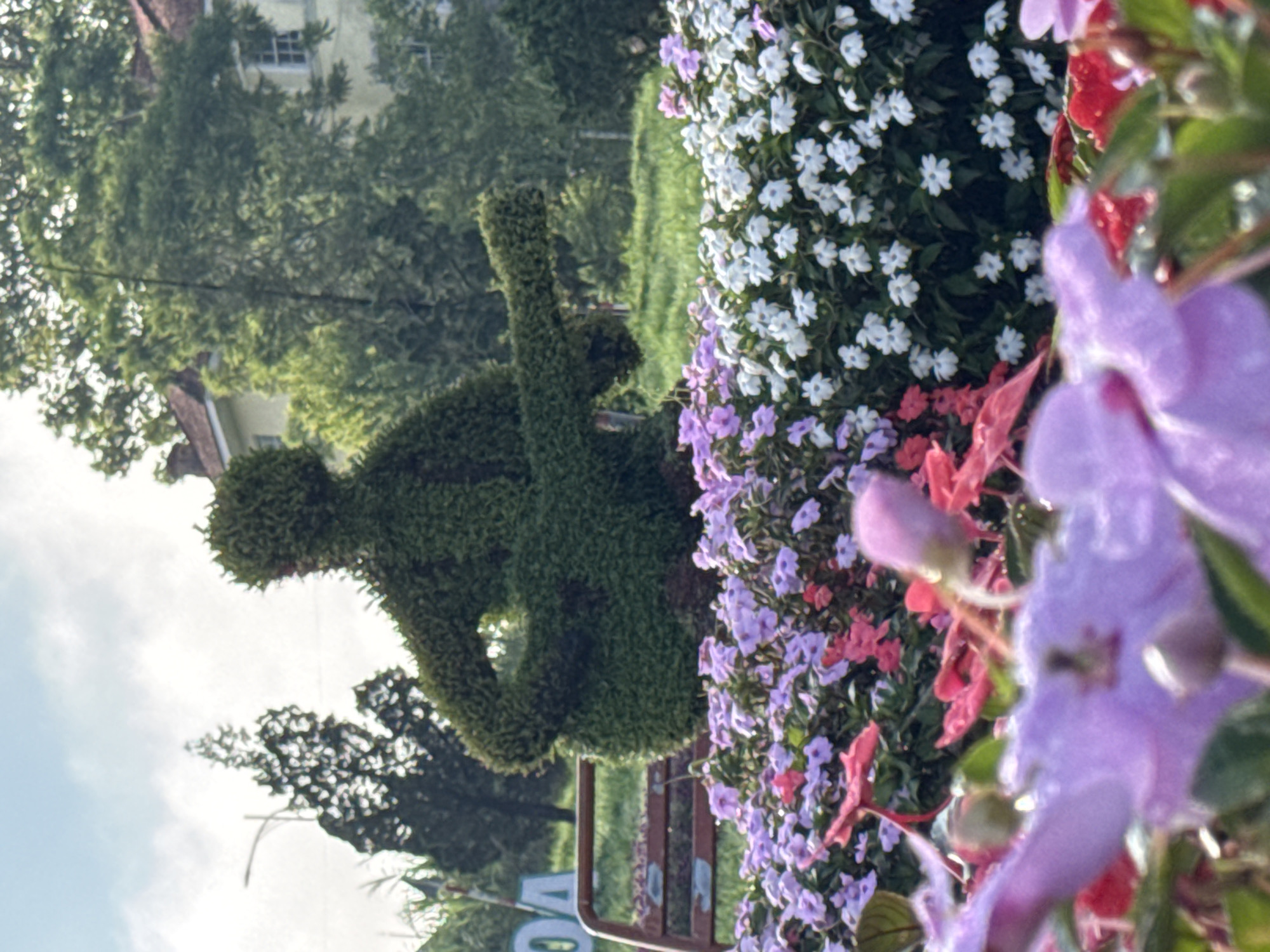 The image captures a topiary sculpture of a person playing a guitar in Da Lat, Vietnam. The sculpture is made of green shrubbery and is positioned in a garden setting. In the foreground, a vibrant bed of flowers in shades of pink, purple, and white blooms. Behind the topiary, a red-brown bench and a large sign with the letters "OA" are partially visible. The background features lush green trees and a building with a red tile roof, suggesting a park or public space within the city. The sky above is partly cloudy.