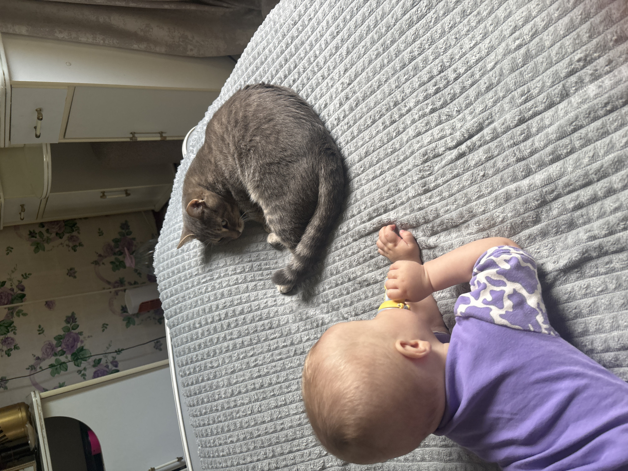 A grey tabby cat is curled on a grey blanket next to a baby lying on its back. The baby is wearing a purple shirt and purple and white patterned shorts. The cat is on the left side of the frame, curled into a circle. The baby is on the right side of the frame, with its head closest to the bottom of the frame. The baby's hand is near its face, and it appears to be sucking on something yellow. The background includes a white cabinet and a floral wallpaper. There is no indication of Мещёры, Russia.