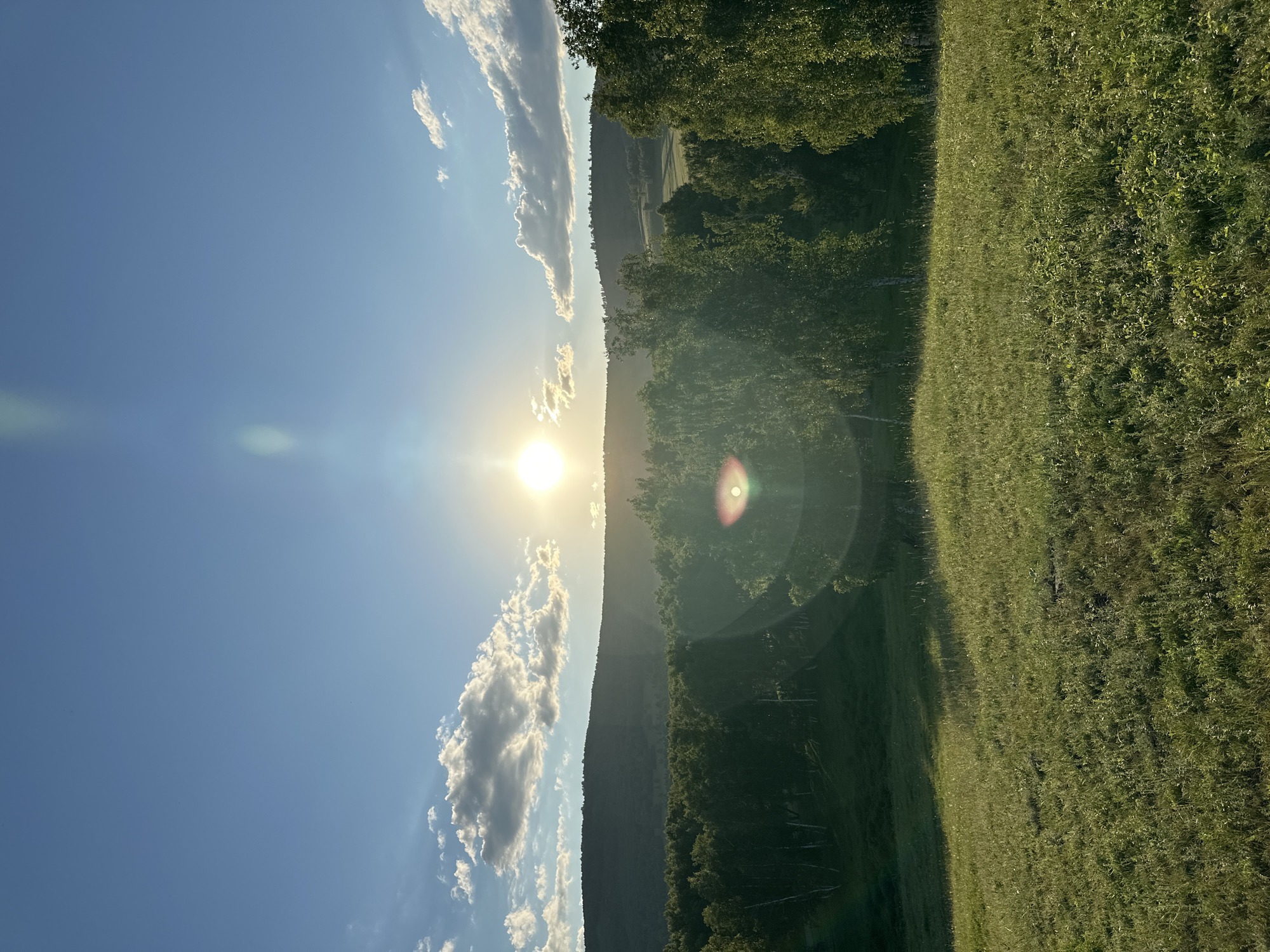 The image depicts a serene landscape at dusk. The sun, a bright orb, is positioned in the upper center of the frame, casting a warm glow and creating lens flares. Wispy clouds are scattered across the clear blue sky. In the middle ground, a dense forest of green trees stretches horizontally, with rolling hills forming a backdrop. The foreground is a grassy field, illuminated by the fading sunlight, with shadows dappling the terrain. No people or man-made structures are visible in the scene. The overall impression is one of natural beauty and tranquility.