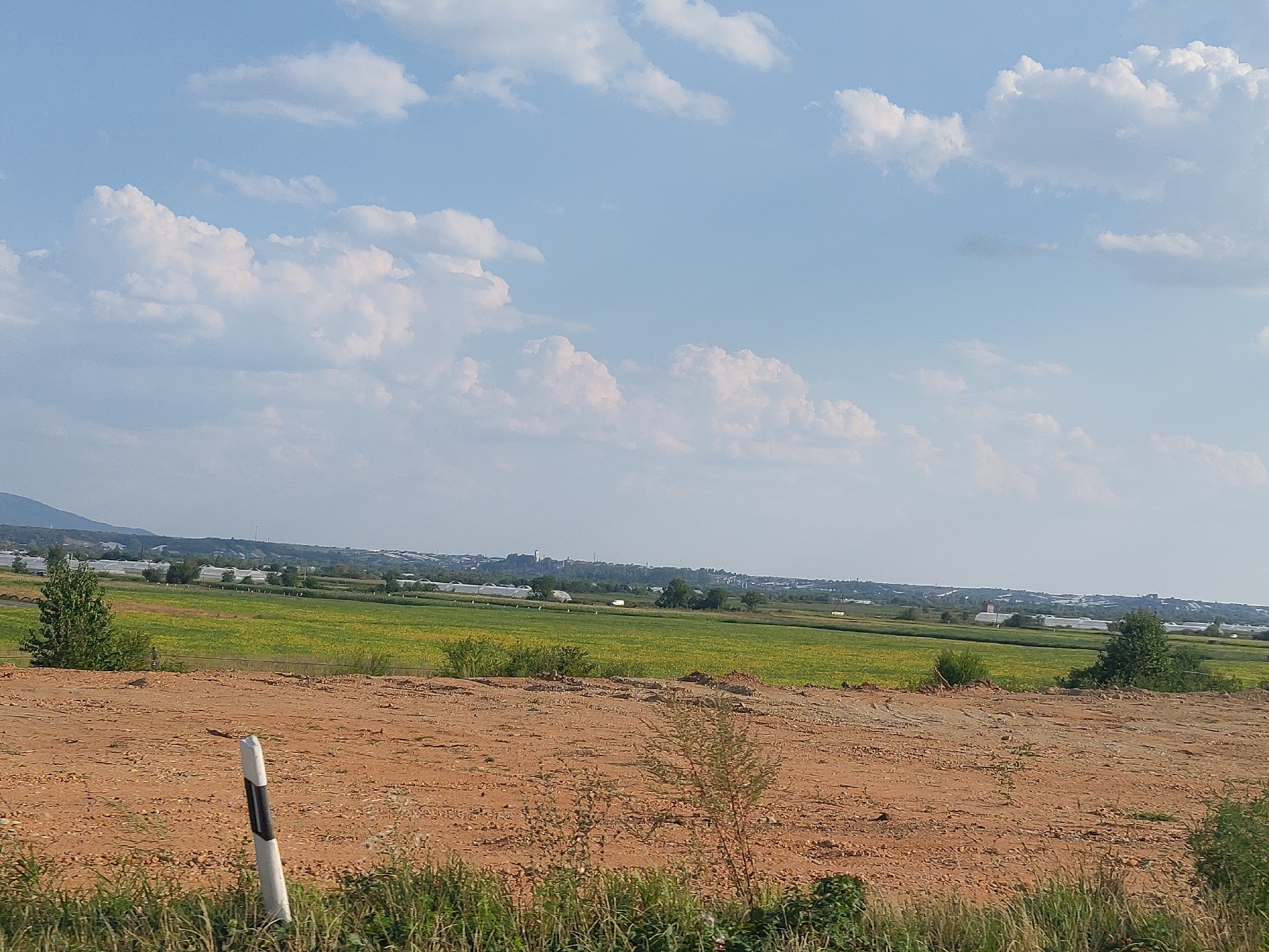 The image depicts a wide, open landscape under a bright, cloudy sky. In the foreground, there is a barren, reddish-brown dirt field with sparse patches of dry grass and a white pole with black markings, likely a road marker. Beyond this field, a vibrant green and yellow agricultural field stretches out, dotted with what appear to be small plants or flowers. In the middle ground, a line of trees and various structures, possibly greenhouses or farm buildings, are visible. In the far distance, a faint, hazy outline of a town or city is discernible against the horizon, with hints of larger buildings and industrial structures. The overall scene suggests a rural or semi-rural environment, possibly on the outskirts of a settlement, with evidence of agriculture and some development. The sky is a pale blue, filled with fluffy white clouds, indicating fair weather. There are no people or animals visible in the frame. The specific location in Siltse, Ukraine, is not explicitly identifiable from the visual information alone.