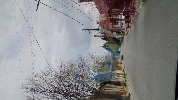 The image depicts a straight paved road extending into the distance under an overcast sky, viewed from inside a vehicle through a potentially smudged windshield. The scene is located in the city of Chubra, Bulgaria.
On the left side of the road, a row of bare deciduous trees lines a curb and sidewalk, behind which various multi-story buildings, some appearing residential, are visible. On the right side, buildings, utility poles with numerous overhead wires, and a sidewalk are present. A yellow diamond-shaped road sign is mounted on a pole on the right.
Approximately mid-distance down the road, a green sedan and a white van are observed traveling away from the viewer. Closer on the right side, a white compact car is parked parallel to the curb. No individuals are visible. The environment suggests an urban or semi-urban street during daylight hours in a season where trees are without leaves.
