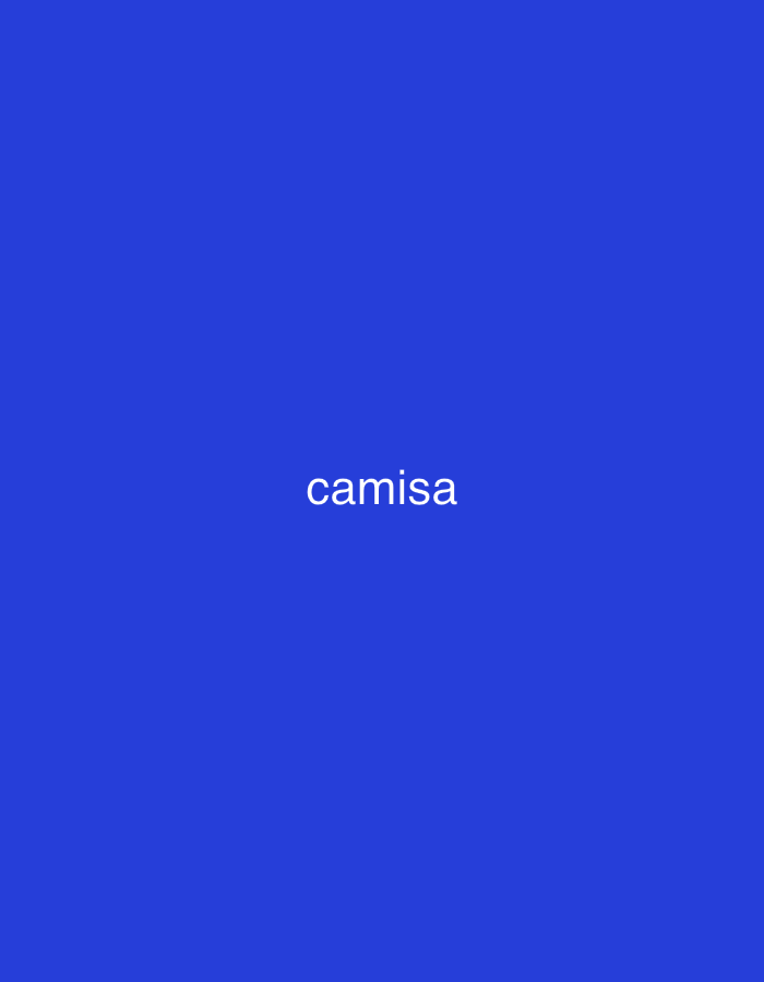 The image displays a solid, vibrant royal blue background. Centered horizontally and slightly above the vertical midpoint, the word "camisa" is written in white, lowercase sans-serif text. There are no other visible subjects, objects, or activities in the frame. The scene is abstract, dominated by the single color and the text. No specific time of day, weather, or emotions are discernible from the image itself. Given the location context of Santa Ana, Venezuela, "camisa" translates to "shirt" in Spanish.