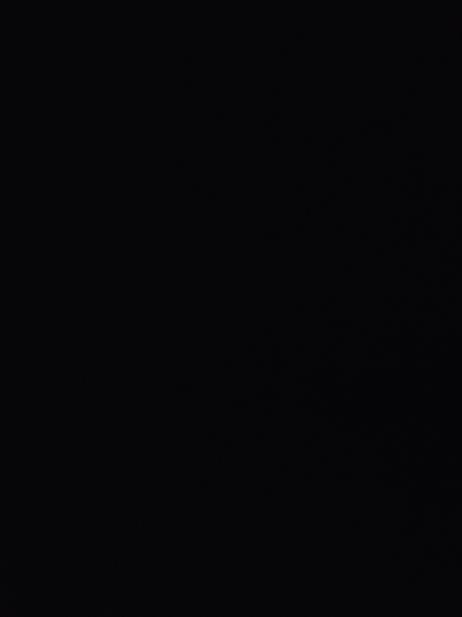 The image is entirely black. There are no discernible people, subjects, objects, actions, interactions, or environmental details visible.