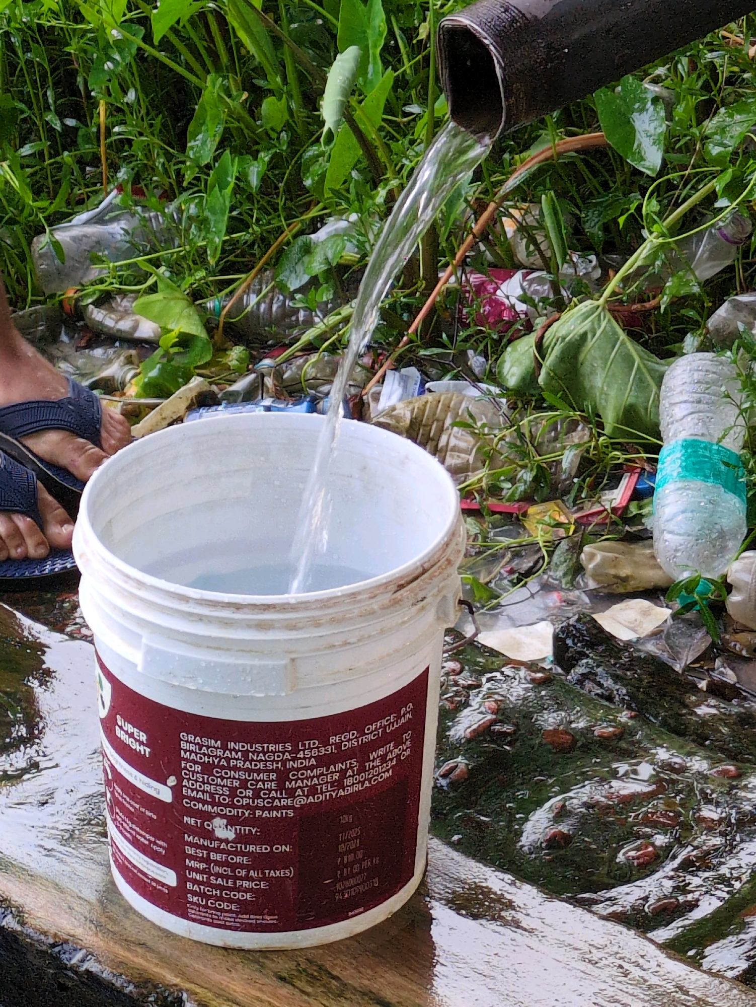 A person's feet, wearing blue flip-flops, are visible on the left side of the frame, stepping onto wet, reflective ground. In the center, a white plastic bucket is partially filled with clear water pouring from a dark pipe above. The bucket has red and white labeling with text that includes "SUPER BRIGHT" and company information. The surrounding environment is cluttered with various types of plastic waste, including bottles and wrappers, interspersed with lush green foliage and mud. The scene appears to be outdoors, with a focus on the act of collecting water amidst a heavily littered natural setting. The image is taken at a slightly low angle, looking up towards the pipe and the bucket.