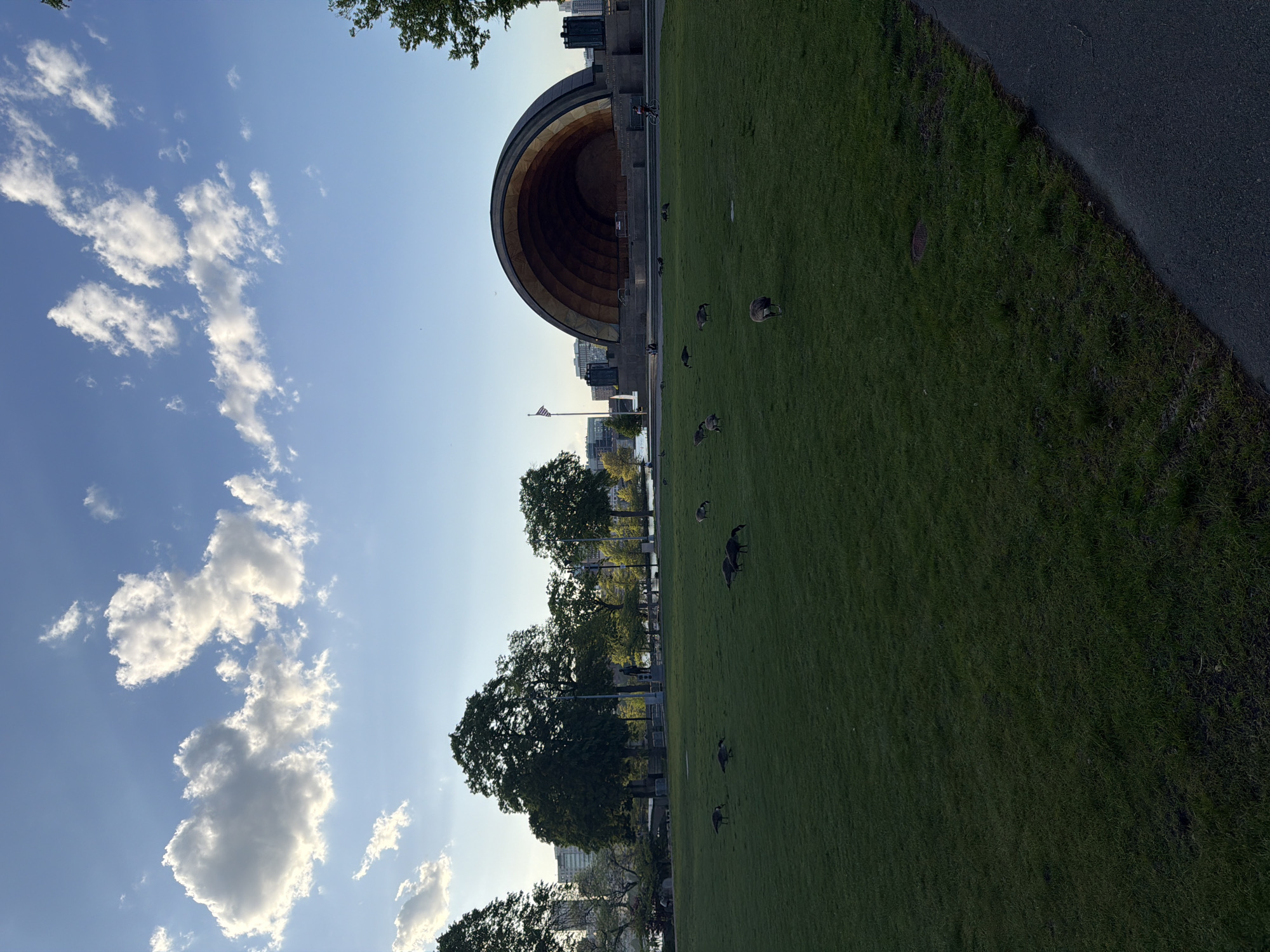 The image shows the Hatch Memorial Shell, an outdoor concert stage in Boston, Massachusetts, United States, situated on the Esplanade along the Charles River. The scene includes a large grassy area with several Canada geese scattered about. In the background, behind the stage, are glimpses of the Boston skyline. The sky above is blue with scattered cumulus clouds. A paved walkway is seen on the right edge of the image, bordering the grassy area.