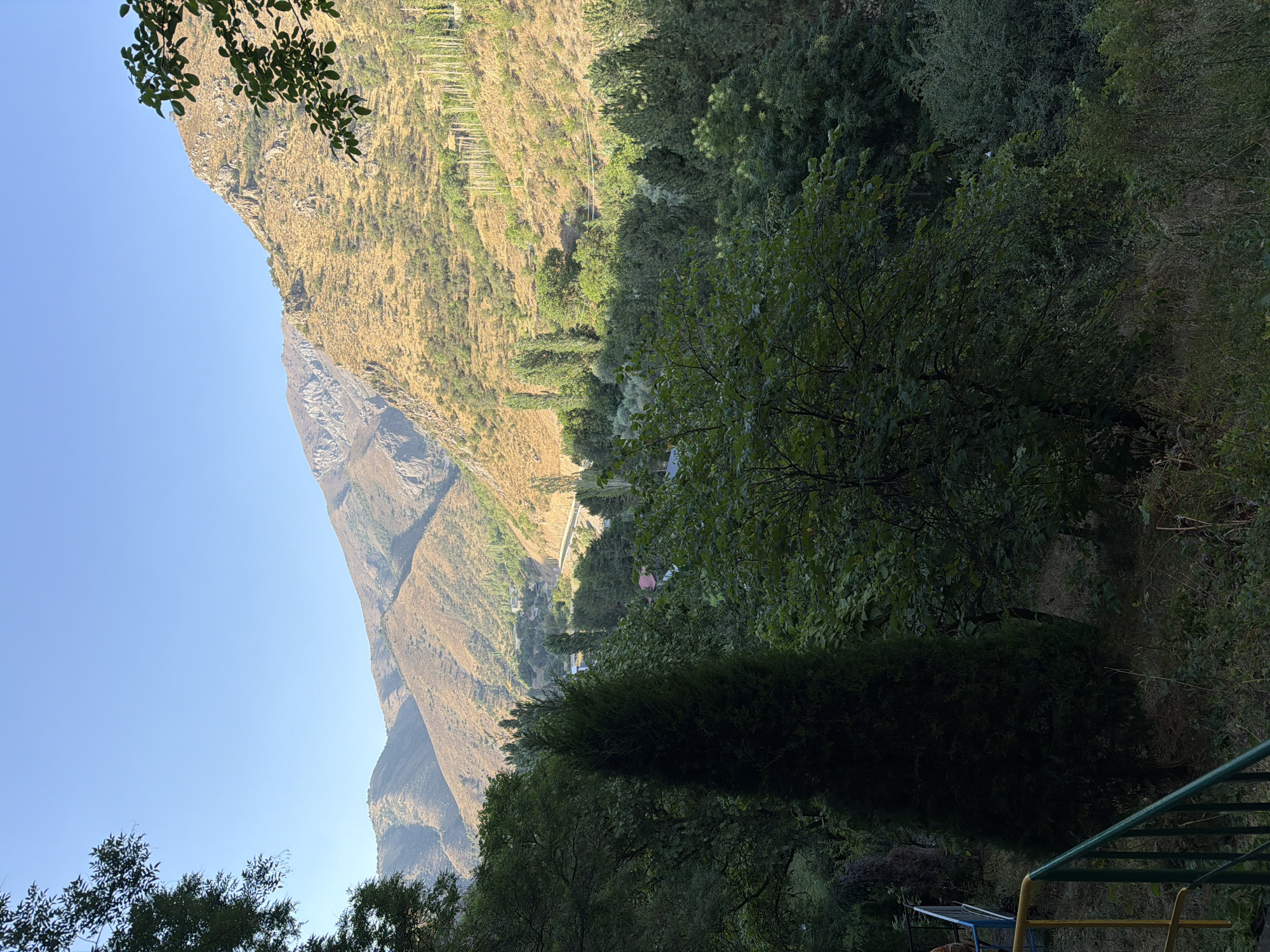 The image depicts a scenic mountain landscape in Khumsan, Uzbekistan. In the foreground, lush green trees and foliage dominate, with a tall, dark green conifer tree prominently positioned. A section of a railing, painted in green and yellow, is visible on the left, suggesting a viewing platform or pathway. Beyond the trees, a valley unfolds, revealing a winding road and scattered buildings, indicating a human settlement within the mountainous terrain. The middle ground is characterized by a slope covered in dry, golden grass and scattered trees, leading up to the imposing mountains that form the backdrop. These mountains are rugged and appear dry, with visible rock formations. The sky is a clear, bright blue, suggesting fair weather and daylight. The overall scene conveys a sense of natural beauty and tranquility, with a blend of dense vegetation and arid mountain slopes.