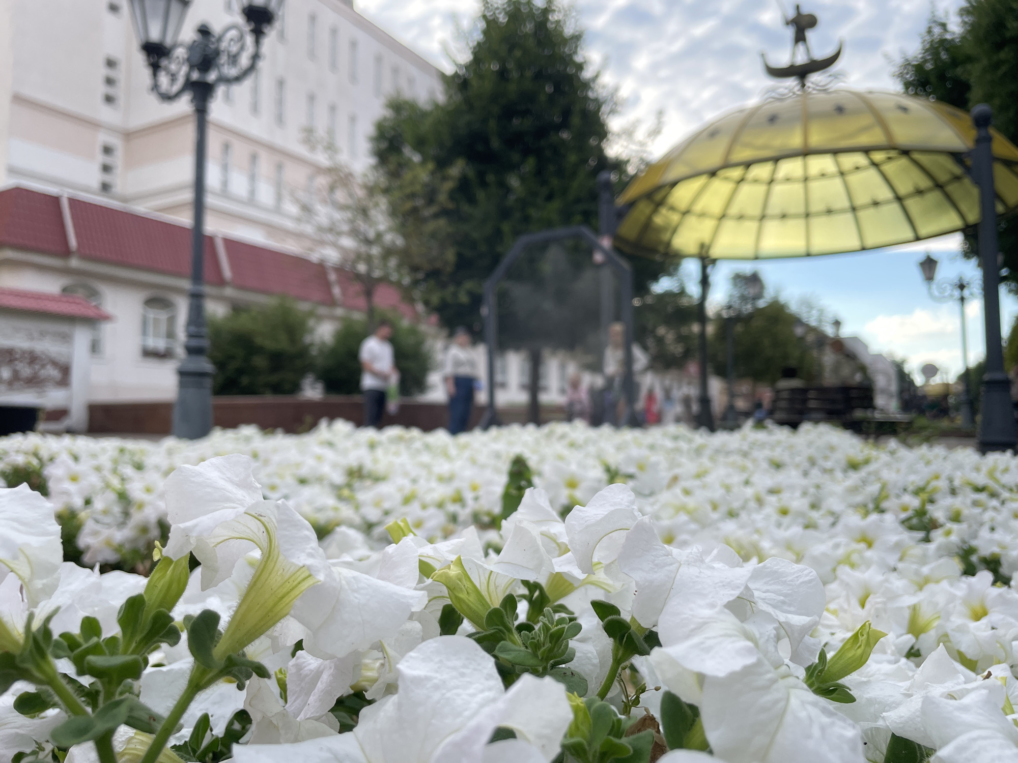 The image displays a low-angle, close-up view of a bed of white petunias in full bloom. The flowers fill the foreground, with some in sharp focus and others softly blurred in the background. Behind the flowers, a public space unfolds. A traditional black lamppost stands to the left, with ornate scrollwork. Further back, a building with a red-tiled roof and white facade is visible. To the right, a distinctive golden gazebo with a decorative finial is partially seen.
In the middle ground, several people are blurred figures walking through the area, suggesting a leisurely daytime scene. One person in the left-middle ground is wearing a white shirt, and another in the center appears to be wearing a light-colored top and dark trousers. The lighting suggests it is daytime, possibly late morning or afternoon, with overcast or cloudy skies. The overall atmosphere is calm and serene, with the abundance of white flowers creating a bright and peaceful setting. The location context of Brest, Belarus, provides a geographical anchor for the urban scene. No visible text is present in the image.