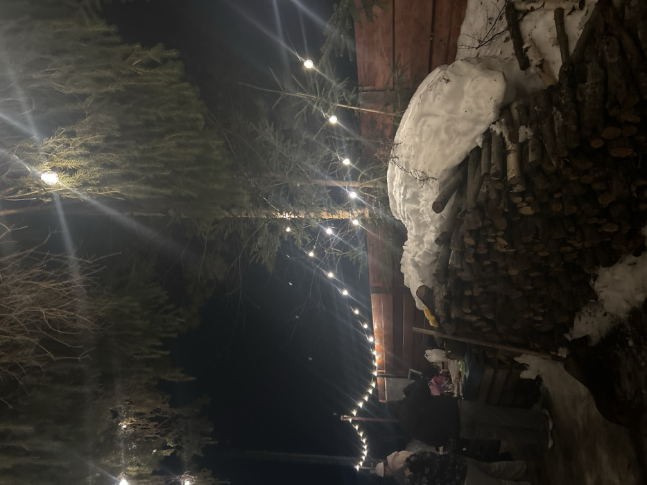 This nighttime image depicts an outdoor gathering in Lesnoy, Russia, characterized by a cold-weather environment. The scene is illuminated by string lights with round bulbs, strung overhead between coniferous trees and posts, creating starburst effects from their luminescence. The sky above is dark and clear.
In the mid-ground, a wooden fence spans horizontally, separating the gathering area from a dense cluster of taller coniferous trees further back. The ground in the foreground is a mix of bare earth and patches of snow. To the right, a large, neatly stacked pile of cut logs (firewood) dominates the foreground, with a significant amount of irregular snow accumulated on its top and right side. A dark-colored shovel or tool is leaning against the left side of this log pile. A small, dark-furred animal, possibly a dog, is visible on the ground in front of the log pile, facing the gathering.
To the left of the log pile, a group of at least four individuals is congregated. One person on the far left wears a light-colored hat and jacket. Another individual, wearing a dark jacket and trousers, stands with their back mostly to the camera, appearing to lean over a low surface or table. A white, rectangular object, possibly a cooler or container, is visible on this surface. Partially obscured individuals are seen further to the left and behind this central figure. The individuals appear to be engaged in a social gathering, possibly preparing or consuming items from the table. The overall scene suggests an informal outdoor event during winter conditions.