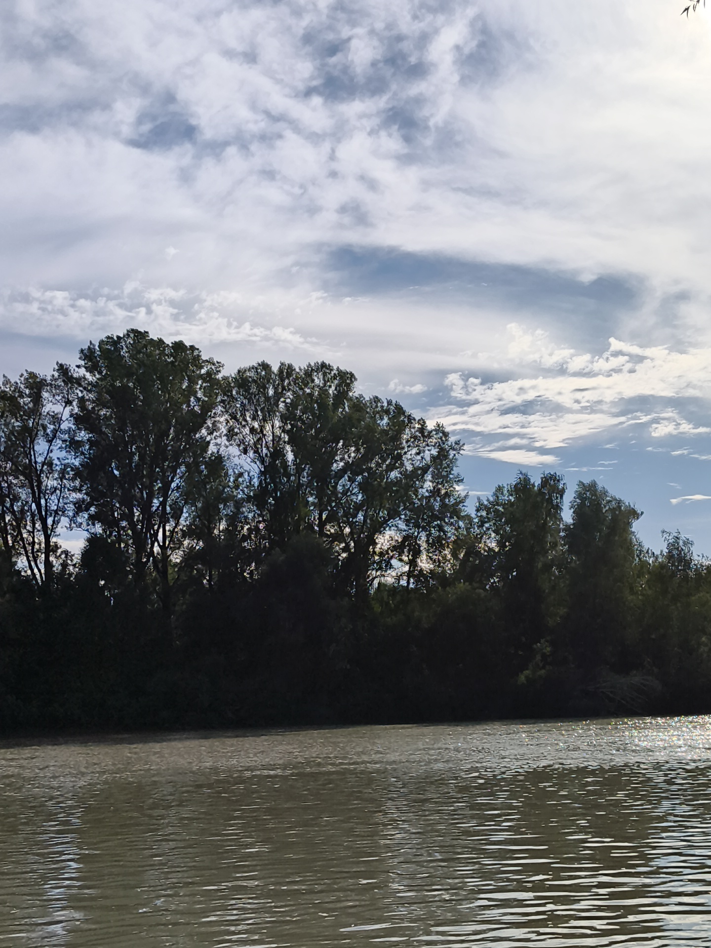 A wide, murky river flows from right to left in the foreground. The water is disturbed by ripples and reflections of sunlight. A dense line of dark green trees with tall, full canopies borders the far bank of the river. Above the trees, a partly cloudy sky is visible with streaks of white and gray clouds against a light blue background. The overall impression is of a natural riverside scene. This location is Mayma, Russia.