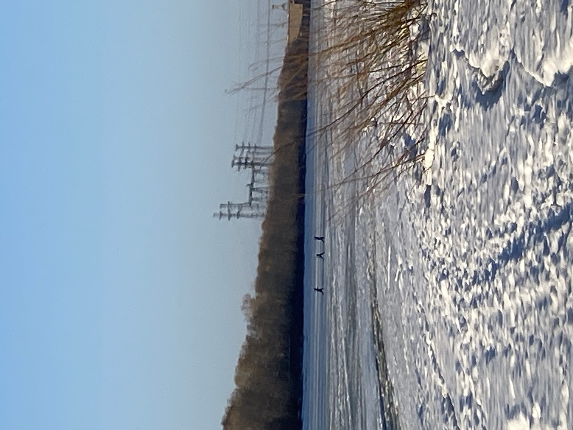 The image shows a winter landscape in Chaikovsky, Russia. A frozen river or lake is covered with textured snow and ice. In the middle distance, three people are seen ice skating or walking on the ice. A line of trees and vegetation runs along the edge of the ice, beyond which are utility poles. The sky is light blue and clear.
