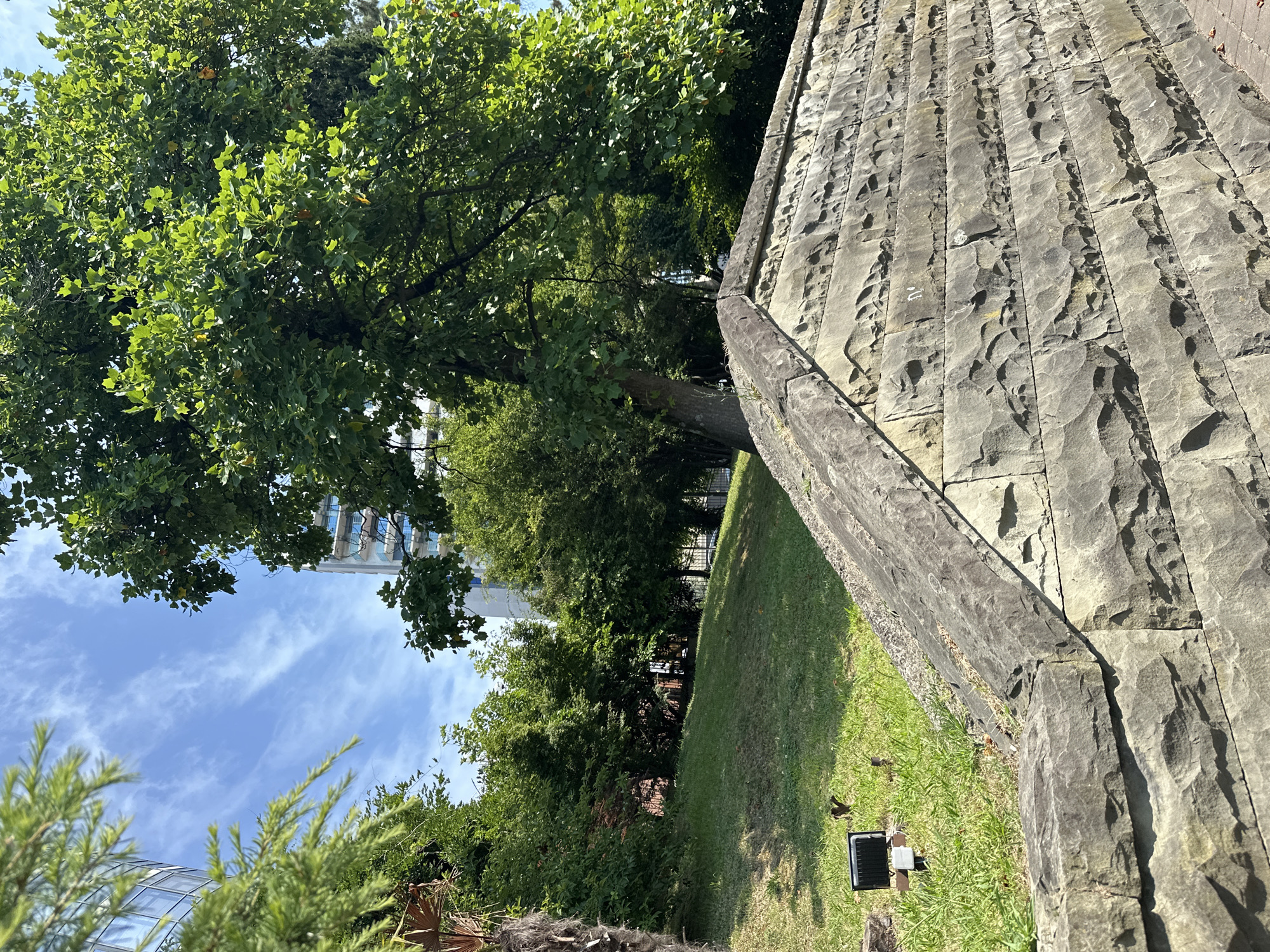 The image captures a sunny outdoor scene with a stone wall in the foreground, extending diagonally across the lower right portion of the frame. The wall is constructed from large, irregularly shaped, gray stones. Behind the wall, a grassy slope rises, dotted with small, dark birds. A black solar-powered light fixture is visible on the left side of the slope. Further back, lush green trees dominate the midground, with a large, leafy tree prominently positioned on the right. In the background, a modern building with a glass facade and balconies can be seen between the trees, under a bright blue sky with wispy clouds. The overall environment suggests a park or landscaped area within the city. The location is identified as the "Riviera" Park in Sochi, Russia.