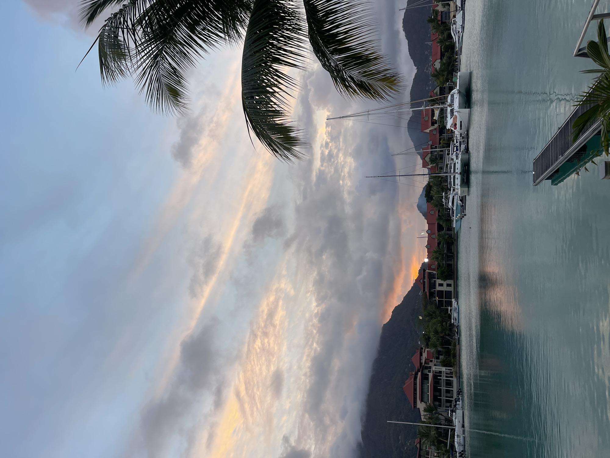 This image depicts a harbor scene in Providence, Seychelles, at dusk. The sky is a blend of soft blues, grays, and hints of orange and pink from the setting sun, with wispy clouds stretching across. In the foreground, the calm, turquoise water reflects the sky and the surrounding structures. A dark wooden jetty extends into the water from the lower right corner.
Along the waterfront, there are several buildings with red-tiled roofs, reminiscent of Mediterranean architecture. Behind these buildings, lush green hills rise, partially obscured by clouds. Moored in the harbor are numerous sailboats and yachts, with their masts reaching towards the sky. Some smaller boats are also visible. The scene is framed by the dark fronds of a palm tree in the upper right corner, adding a tropical element. No people are visible in the image.