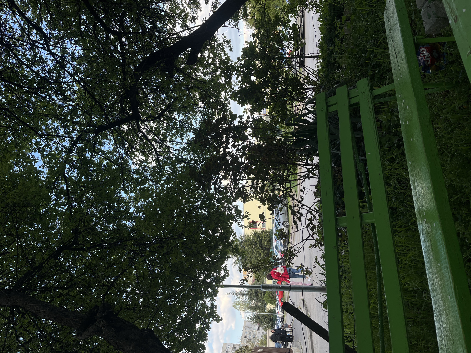 The image captures an upward-angled view from a green space alongside an urban street, likely in Sofia, Bulgaria. The perspective is taken from under a canopy of dense, dark green trees, with sunlight dappling through the leaves, suggesting late morning or early afternoon. The sky, visible through gaps in the foliage, is blue with scattered white clouds.
In the immediate foreground, to the right, a weathered green wooden bench is partially visible, nestled amidst tall green grass and smaller plants. A discarded colorful snack wrapper, featuring the text "CHO," lies on the ground behind the bench.
Beyond the green area, a paved street runs horizontally across the midground. Several parked cars, including silver, red, and white models, line one side of the road. On the sidewalk, a person wearing a red jacket and a white backpack is walking, facing away from the viewer, near a street lamp post. Further down the street, two other individuals, one in a dark jacket, are also visible, either standing or walking.
In the background, across the street, multi-story residential apartment buildings are discernible, some with visible windows and balconies, along with more trees. The overall setting is a verdant urban environment, with elements of nature coexisting with city infrastructure and daily life. No particular emotions are discernible from the scene.