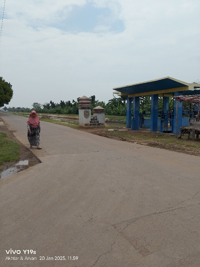 This media file captures an outdoor scene on an overcast day, likely around midday based on the timestamp. A paved road stretches into the distance, with a woman dressed in a patterned long dress and a pink headscarf (hijab) walking or standing on the left side of the road. On the right side, there is a concrete monument-like sign with text, and further down, a blue and yellow structure, possibly an irrigation control gate or a small shelter, positioned next to a water-filled ditch or canal.
The sign clearly reads "BATAS WILAYAH KEC. GABUS WETAN," indicating the boundary of Gabus Wetan Sub-district. The blue and yellow structure features pillars and a roof, with visible machinery that suggests a function related to water management. Lush green vegetation, including trees and bushes, lines both sides of the road and the canal. The sky is largely covered with white clouds, contributing to the soft, diffused lighting. A small puddle is visible on the left edge of the road near the foreground. A watermark in the bottom left corner states "vivo Y19s Akhtar & Arvan 20 Jan 2025, 11.59."