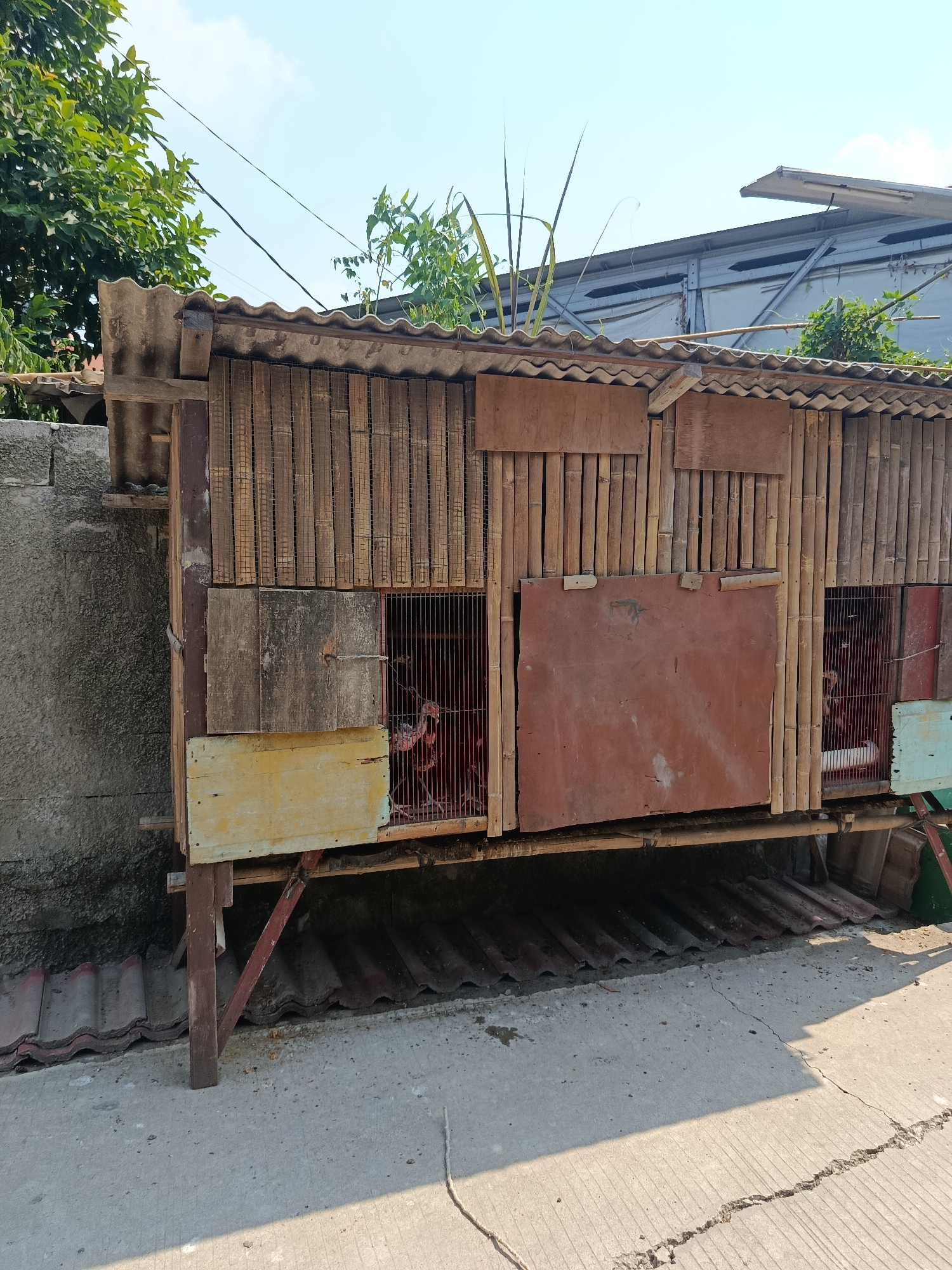 The image shows a makeshift coop constructed from bamboo, wood, and corrugated metal, situated outdoors in Wanasari, Indonesia. The coop appears to be raised off the ground on stilts and is divided into several sections, some with wire mesh fronts revealing chickens inside. The surrounding environment includes a concrete ground surface, a concrete wall on the left, and lush green trees and vegetation. Overhead, power lines are visible against a bright blue sky. The overall scene depicts a rural or semi-rural setting with evidence of basic animal husbandry.