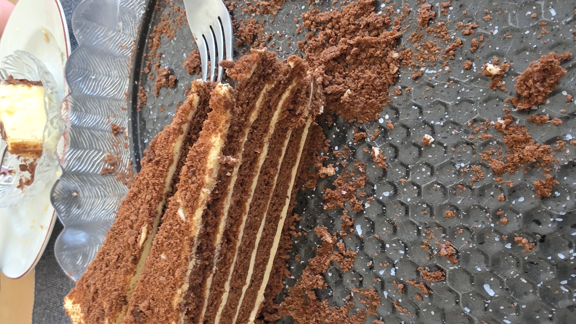 A close-up shot shows a multi-layered chocolate cake, partially sliced, with a fork resting on top. Crumbs from the cake are scattered across a textured, dark gray surface. To the left, a white plate contains a piece of cheesecake. The location is unknown, and the city of Blagoevgrad, Bulgaria, is not visually confirmed. There are no people visible in the image.