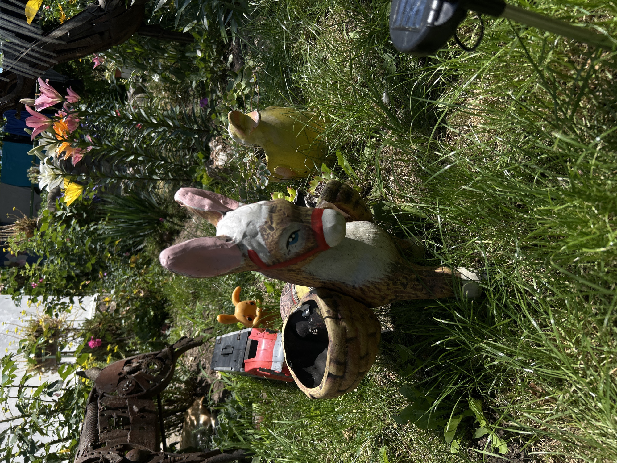 In a sun-drenched garden located in Belo Pole, Bulgaria, a whimsical scene unfolds amidst lush green grass and vibrant flowers. A ceramic donkey, adorned with a red halter and blue eyes, stands prominently, its head tilted slightly as if listening. In front of the donkey, a brown, basket-like planter overflows with dark soil. To its left, a red toy truck is partially visible. Behind the donkey, a small, orange plastic rabbit with perked-up ears sits cheerfully. Further back, a bright yellow ceramic duck planter, filled with small succulents, gazes upwards. The background is a tapestry of greenery, including tall, slender lilies in shades of pink, white, and orange, and other various plants. A section of a white wall is visible on the far left, and a hint of a dark metal sculpture of an animal can be seen on the left edge of the frame. A black solar-powered garden light is positioned in the lower right corner, its sensor panel catching the sunlight. The overall atmosphere is one of playful neglect, with the artificial figures adding a touch of charm to the natural surroundings.