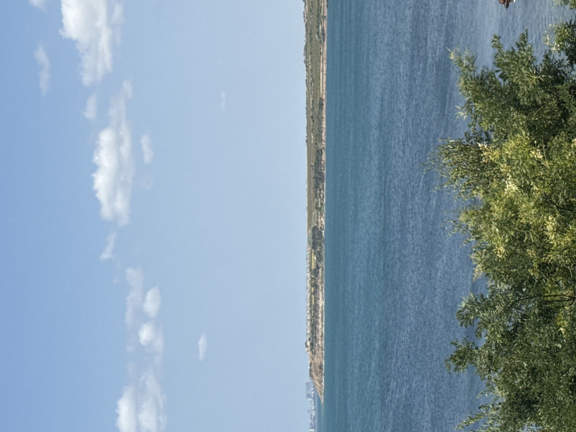 The image shows a wide, calm body of turquoise water with a distant, elevated coastline featuring a line of buildings and vegetation. In the foreground, lush green trees and bushes partially obscure the view of the water. The sky above is a clear, pale blue with a few scattered white clouds. The scene captures a serene coastal landscape. This view is likely from the vicinity of Pomorie, Bulgaria, given the geological formations and coastal town often seen in images of the area.