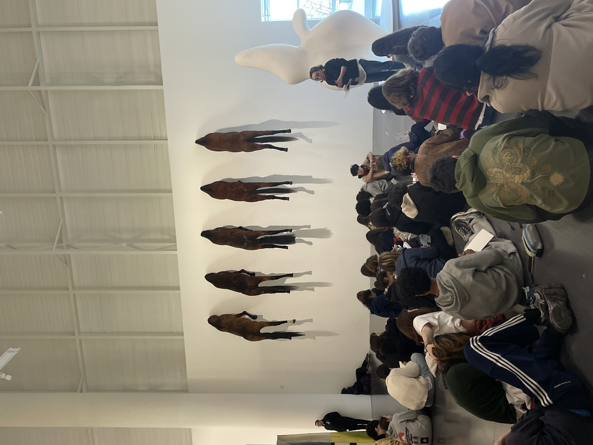 The image shows a group of people, likely students, sitting on the floor of a large, bright room in Metz, France. They are facing a white wall upon which there are five taxidermied horses hanging in a vertical line. Above the horses is a large, white, amorphous sculpture. A person, likely a teacher, stands between the sculpture and the group, holding papers and seemingly giving a lecture or presentation. The room has a high, industrial-style ceiling with visible support beams. Natural light comes from a window or skylight near the sculpture. The people on the floor are a mix of ages and ethnicities, mostly looking toward the art.