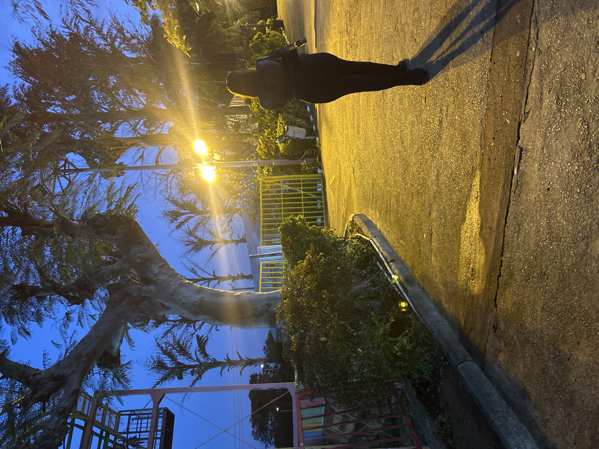 The image depicts a street scene at dusk or night, illuminated by yellow streetlights. A person wearing a black outfit is walking away from the camera on a paved walkway. The walkway is bordered by a curb and a grassy area with bushes. In the background, there are trees, including a large, gnarled tree trunk, and a yellow metal fence. A structure with a metal cage and railing is visible to the left, with a pink railing in front of it. The sky is a deep blue.