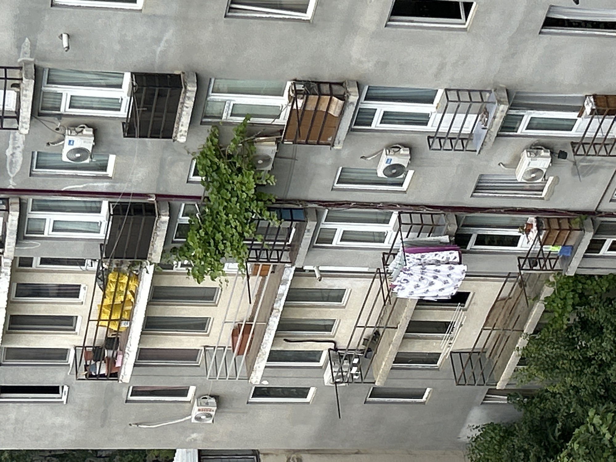 This media file shows the exterior of a multi-story apartment building, viewed from above. The building has a gray facade with numerous windows and balconies. Several air conditioning units are visible attached to the walls below the windows. Some balconies are equipped with metal railings and bars, and one balcony contains a rack with laundry drying, including patterned sheets and towels. Another balcony has a large yellow object, possibly a bag or tarp, and some pink fabric. A small tree with green leaves grows near one of the balconies, and dense green foliage is visible on the right side of the frame, suggesting a setting with some vegetation. The windows are mostly white-framed and appear to be of various sizes, some with horizontal panes. The overall impression is of an urban residential building, possibly in a warm climate given the presence of air conditioners and outdoor drying of clothes. The lighting suggests it is daytime, and the weather appears overcast. There is no visible text in the image.