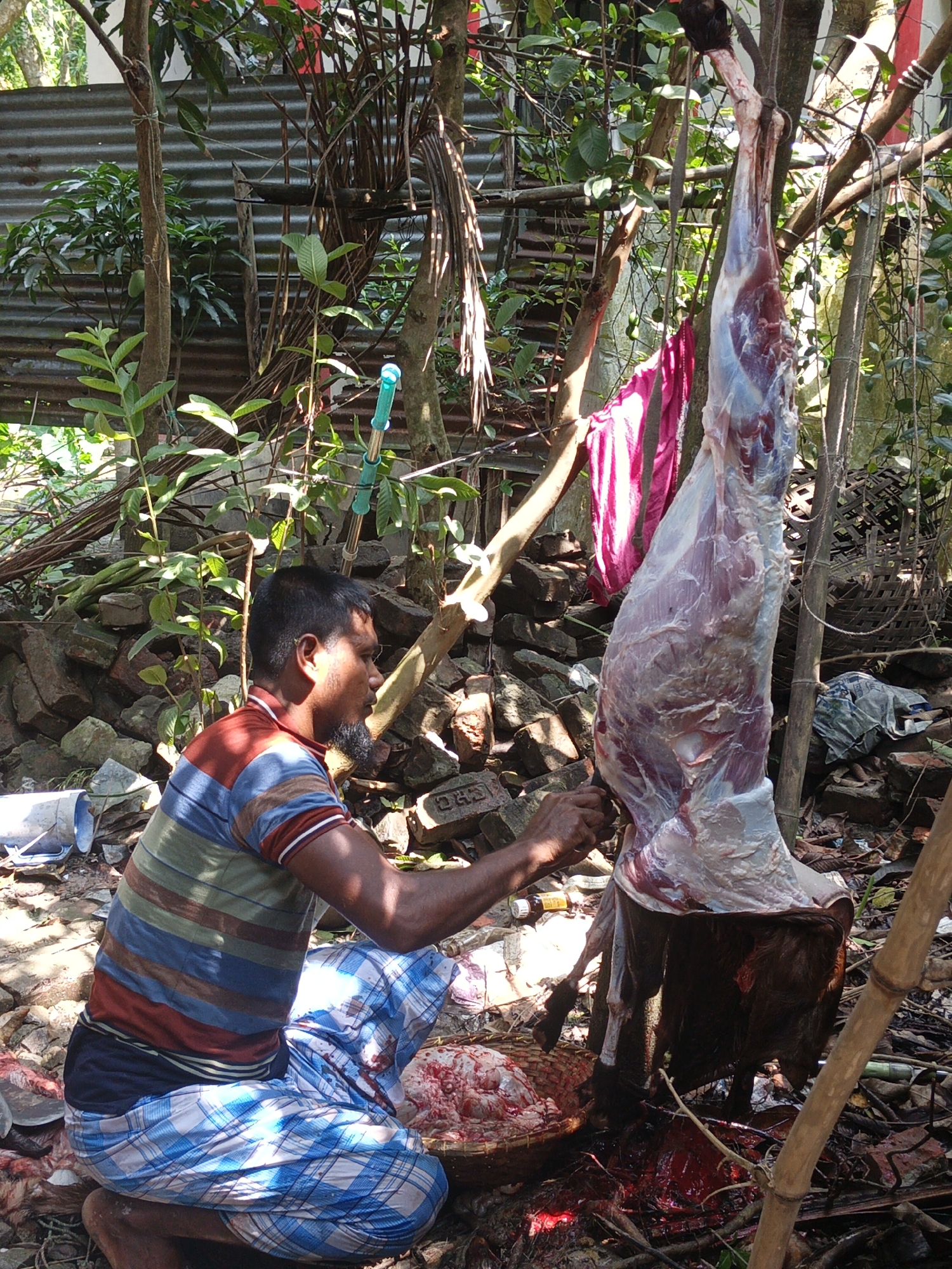 A man kneels on the ground in an outdoor setting, appearing to be butchering a large animal carcass that is hanging from a tree. The man is wearing a horizontally striped shirt and a blue and white checkered garment. He has a dark complexion and a beard. The carcass is partially skinned, revealing the flesh. Below it, there is a pool of blood and various implements or cut pieces of meat. The surroundings are cluttered with debris, rocks, and dense vegetation. A corrugated metal fence is visible in the background. The location appears to be a yard or area with a mixture of natural and man-made elements. The city and region are unknown.