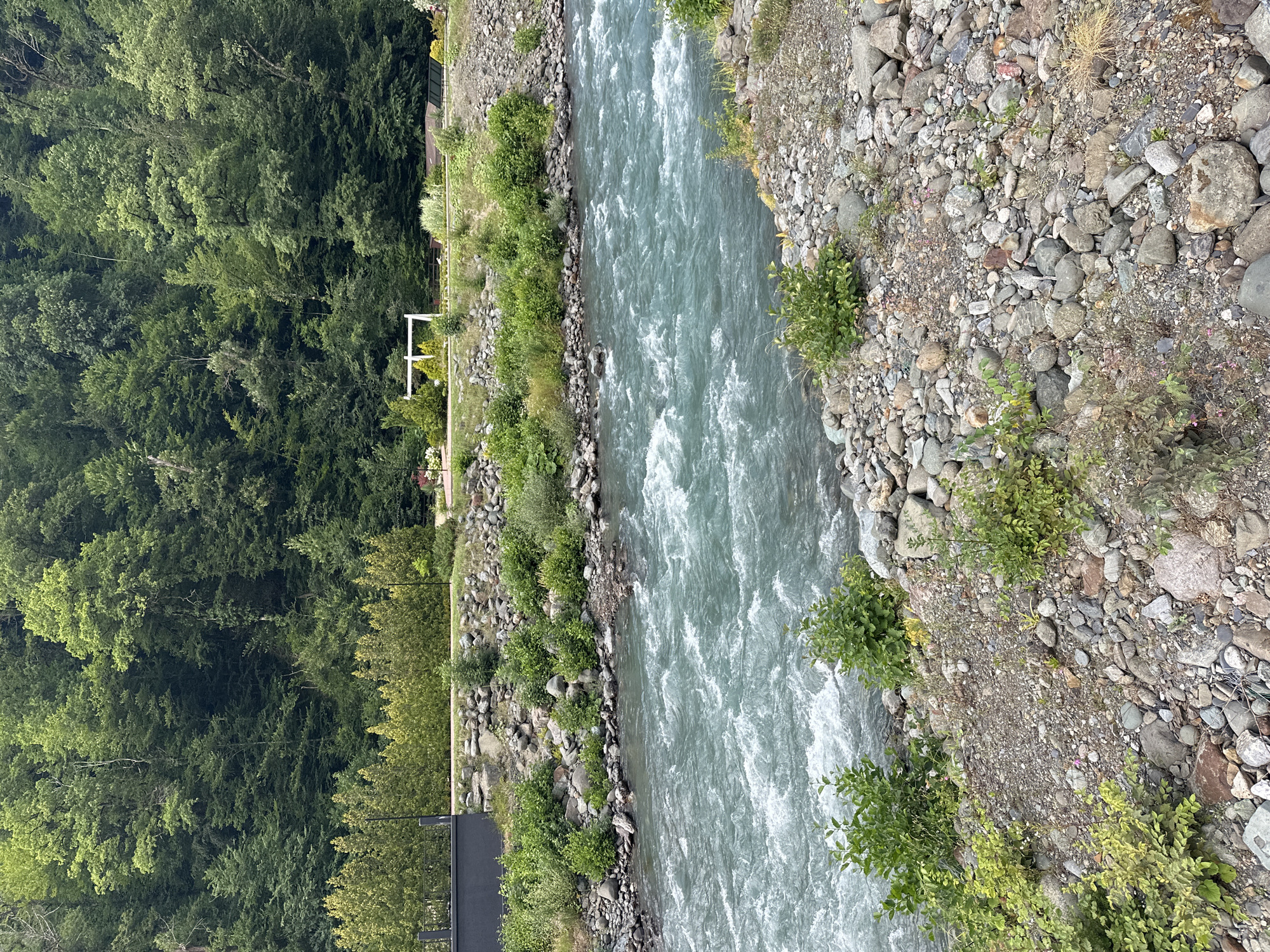 A wide, turquoise river flows from right to left in the foreground, with white rapids indicating a fast current. The riverbanks are composed of grey and brown rocks, with patches of green vegetation and small bushes growing on them. In the background, a dense forest of green trees covers a hillside. There are no people visible in the image. The scene is set in an outdoor natural environment.