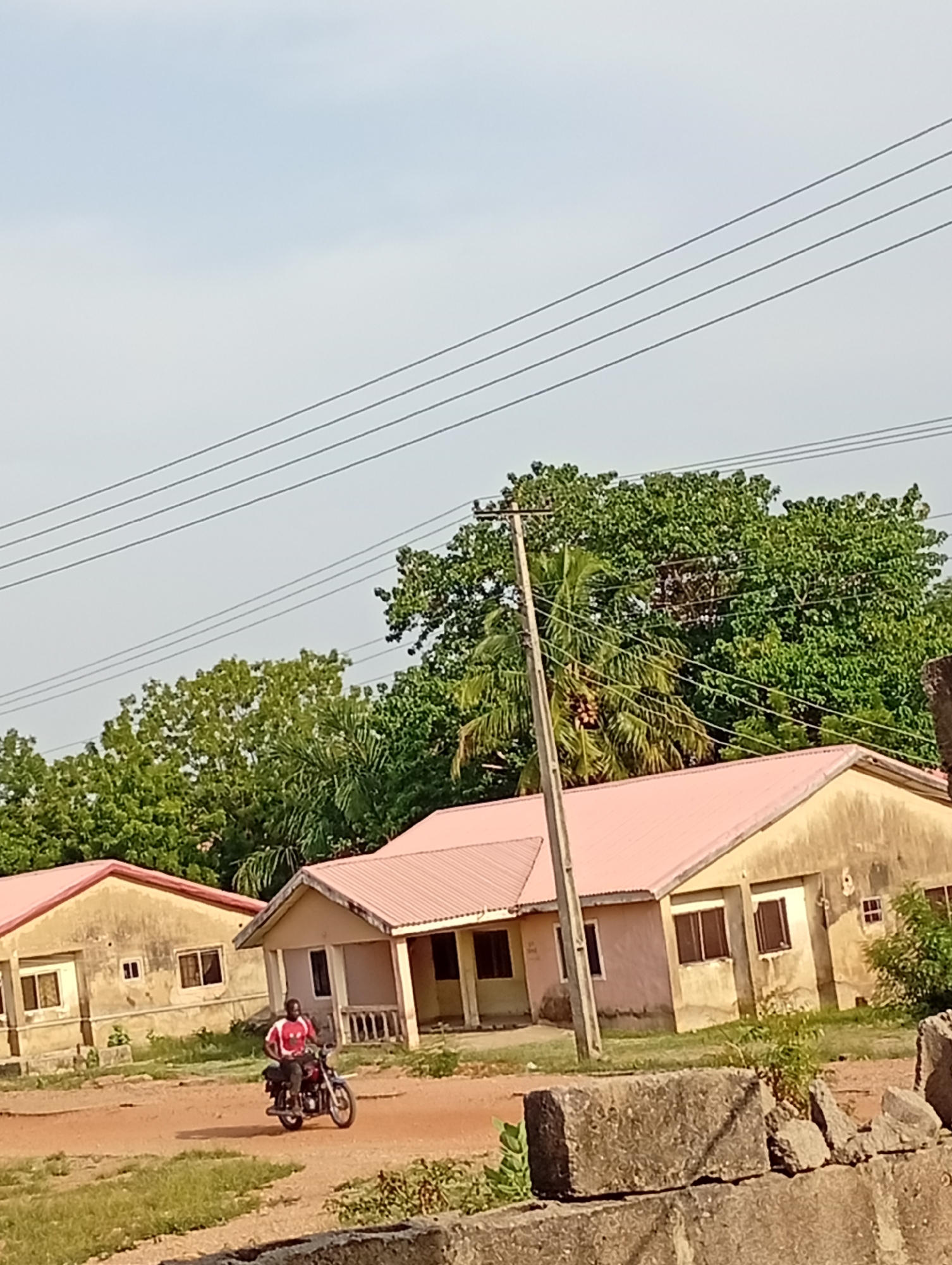 This daytime image depicts a residential scene in Adankolo, Nigeria, under a clear, pale blue sky. In the midground, a man wearing a red and white short-sleeved shirt and dark trousers is riding a dark-colored motorcycle on a dusty, unpaved path. He is facing towards the right side of the frame, indicating movement in that direction.
Behind the rider, two single-story houses are visible. Both structures feature light beige or yellowed walls, showing signs of weathering, and are topped with distinctive pink or reddish corrugated metal roofs. The house on the right is more prominent, displaying dark-framed windows and a recessed entrance area with supporting columns. Lush green trees, including a palm tree with coconuts, form a dense backdrop, particularly behind the houses and extending across the upper portion of the image.
A tall, weathered wooden utility pole stands centrally, from which multiple dark power lines extend diagonally upwards and across the clear sky. The immediate foreground consists of more unpaved ground with some sparse patches of green grass, alongside several rough, grey concrete blocks or debris. The bright lighting suggests it is either late morning or early afternoon. No visible text is present in the image.