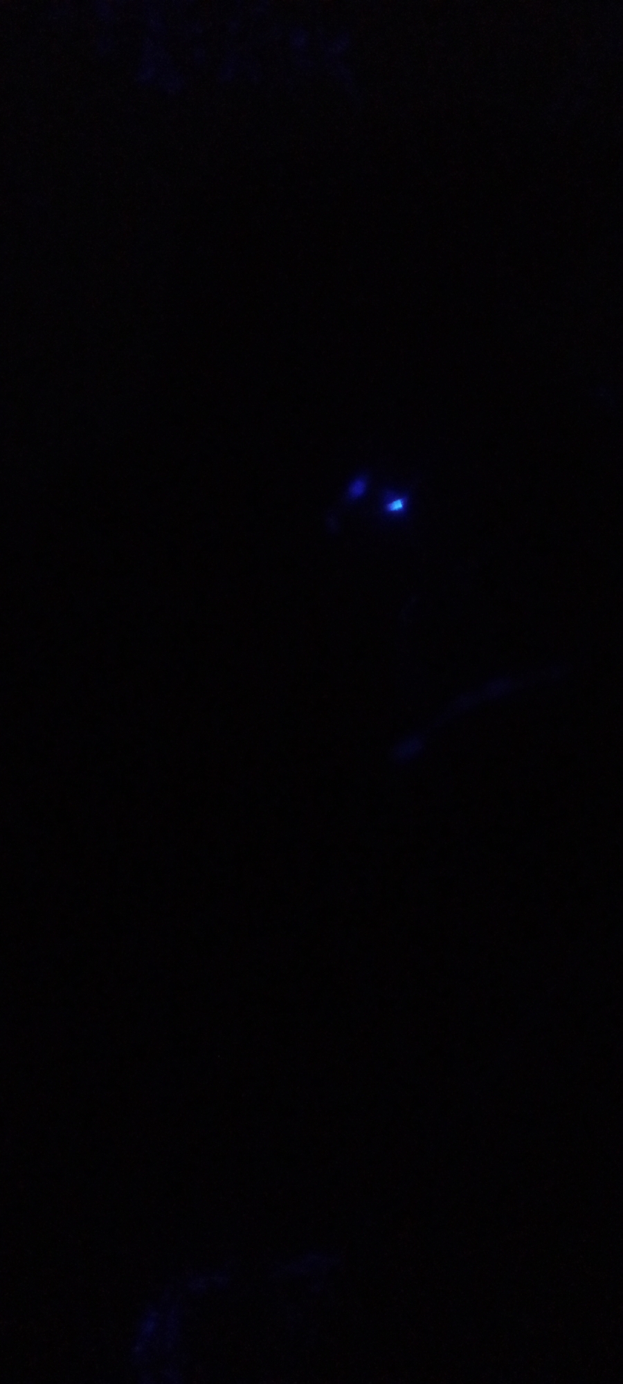 The image shows a dark scene. Two small, bluish-white lights are visible towards the upper right of the image, likely resembling eyes. There are faint, undefined shapes in the lower part of the image, but they are not clearly discernible due to the low light. Location is unknown.