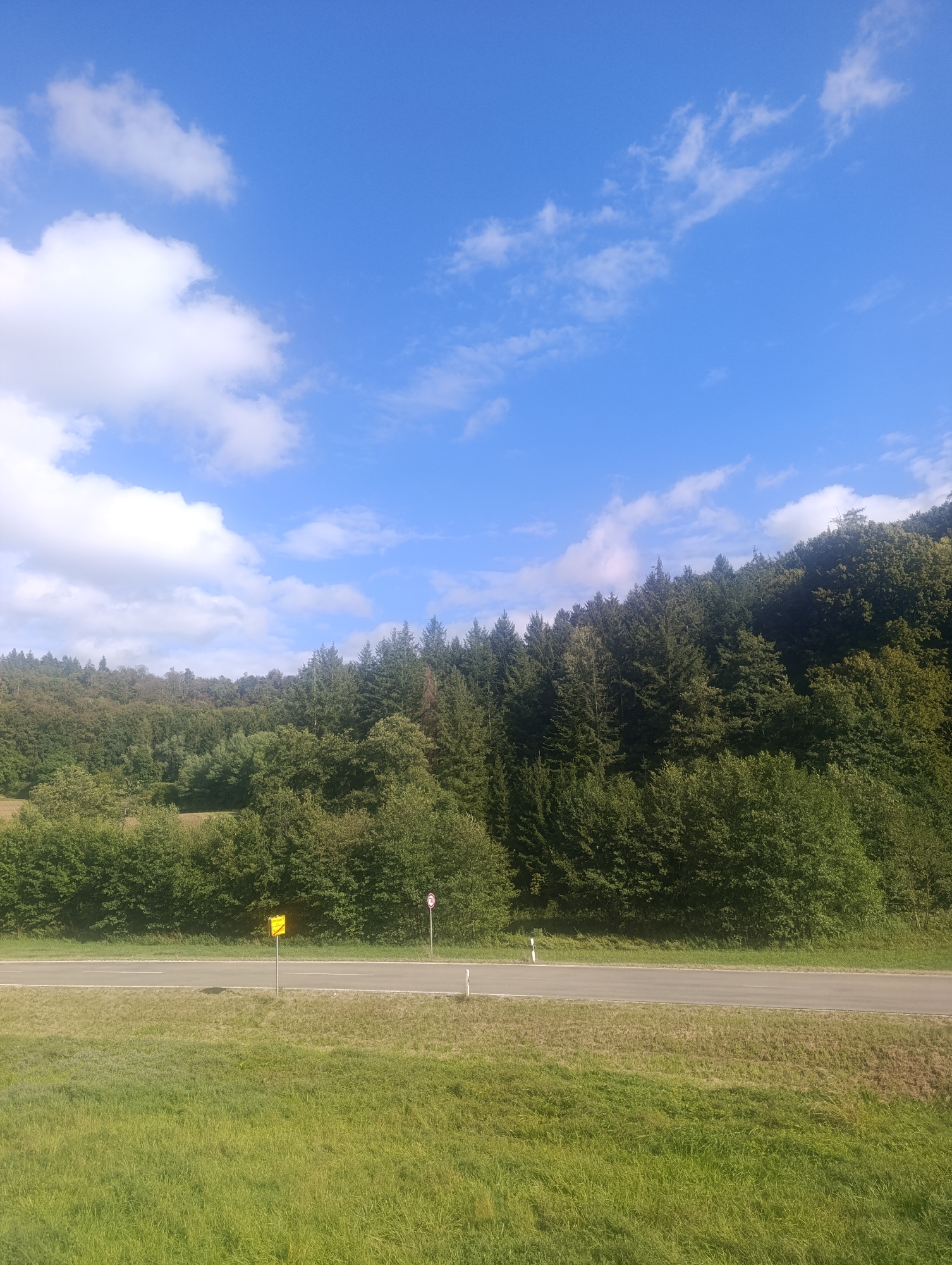 The image captures a roadside scene with a forest-covered hill in the background, under a blue sky with scattered white clouds. In the foreground, a paved road runs horizontally across the frame. To the left of the road, a yellow traffic sign with a symbol is visible, mounted on a pole. To the right of the road, a speed limit sign is present. The road is bordered by a grassy area on the left and a slightly drier, brown-tinged grassy slope on the right. The forest itself is dense, featuring a mix of deciduous and coniferous trees, with the foliage appearing lush and green. The overall impression is of a rural or semi-rural landscape.
