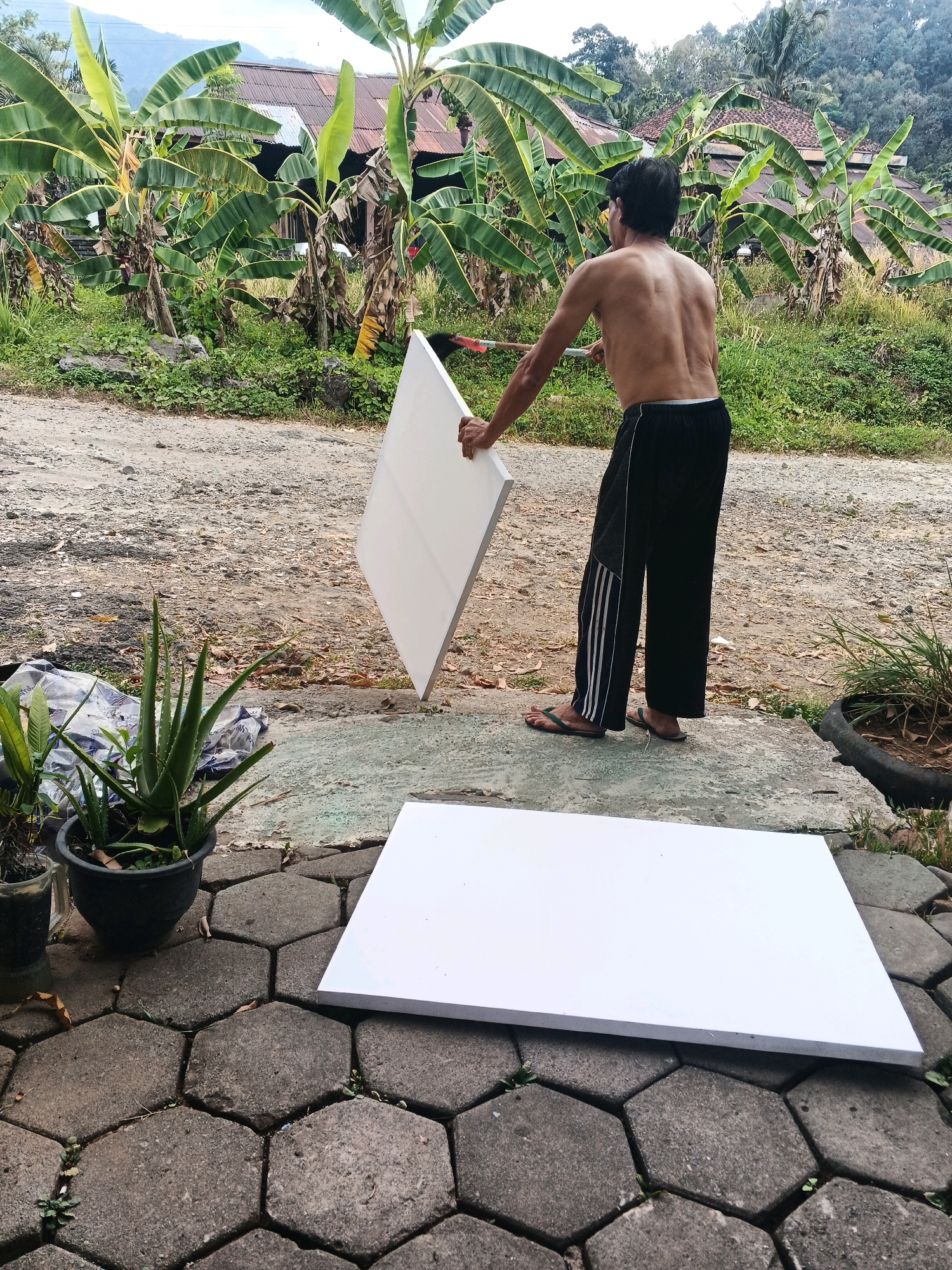 In Ungaran, Indonesia, a bare-chested man in black pants with white stripes is holding a large white board upright. In front of him, another identical white board lies flat on a hexagon-tiled surface. Behind the man, a cluster of banana trees with large green leaves is visible, alongside a rustic building with a corrugated metal roof. The ground is covered in dirt and gravel, with sparse green vegetation and a potted aloe vera plant adding to the outdoor scene. The sky is overcast, suggesting a humid climate typical of the region. The man appears to be engaged in some form of outdoor activity involving these white boards, possibly related to construction or art.
