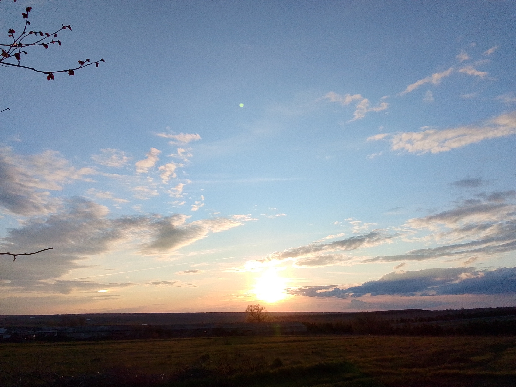 The image depicts a tranquil rural landscape during either sunrise or sunset in Khlevnoye, Russia. The sky occupies the majority of the frame, displaying a clear blue overhead transitioning to vibrant hues of orange, yellow, and pink near the horizon. The sun is a prominent, bright light source near the center-right, casting a warm glow across the lower sky and silhouetting elements in the foreground and midground. Scattered white and light grey clouds are dispersed across the sky, with some appearing illuminated from below by the sun. A distinct bright green circular lens flare is visible in the upper-middle sky, and a faint contrail stretches horizontally across the middle distance.
In the upper-left corner of the foreground, silhouetted branches of a tree with small, dark red leaves or buds extend into the frame. Another dark branch is partially visible in the lower-left. The midground consists of an open field, appearing golden-brown or green, suggesting either dry grass or cultivated land. A single, bare deciduous tree stands out against the bright sun, its branches clearly silhouetted. On the horizon, distant dark structures, possibly indicating a village or farm buildings, are visible, nestled against the faint outlines of rolling hills or forested land in the far background. The overall scene conveys a sense of peaceful natural beauty at the cusp of day and night. No text is visible in the image.