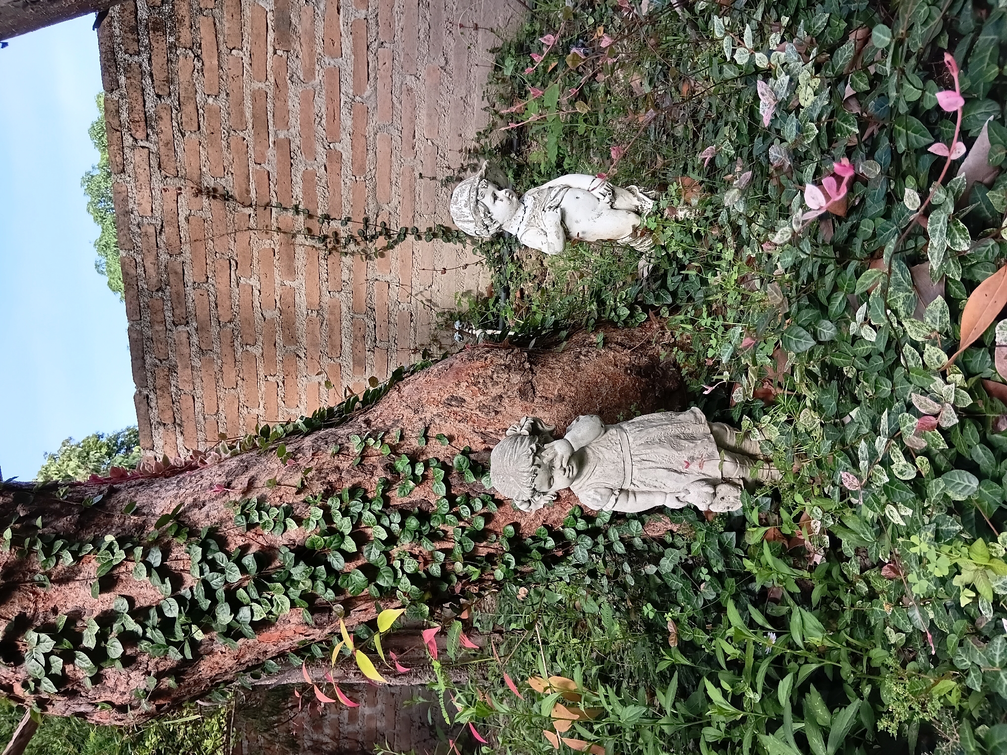This image depicts a garden scene in Ban Tong, Thailand, featuring two stone statues of children among lush greenery. To the left, a large tree trunk is heavily covered with ivy. A young girl statue, dressed in a simple dress and holding a small object, stands near the tree, with her hand partially covering her eye. To the right, a boy statue, wearing a cap and appearing to lift his shirt, is positioned amidst the plants. Behind the statues, a textured brick wall with climbing vines runs horizontally across the background, under a clear blue sky. The ground is densely covered with various plants, including some with variegated leaves and pinkish hues, interspersed with fallen brown leaves.