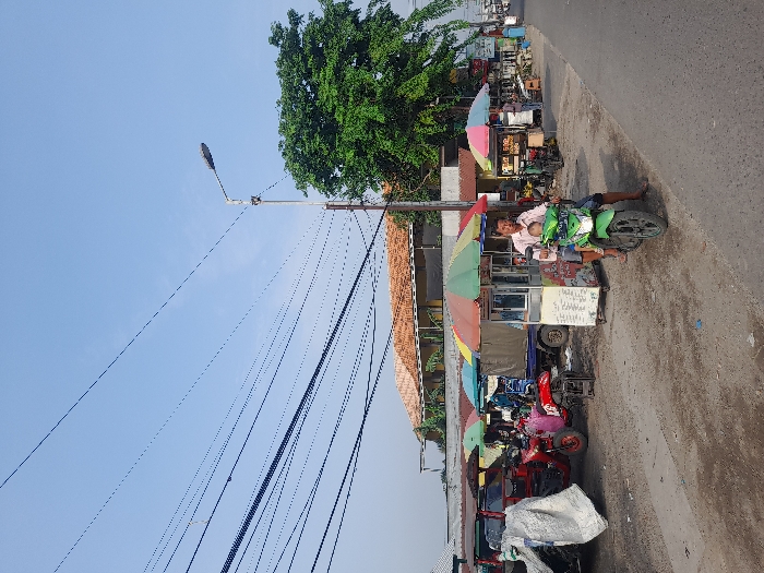 An eye-level, outdoor shot captures a sunny street scene. A man sits on a green motorcycle attached to a food cart with a colorful umbrella. Various vehicles and food stalls line the road, each shaded by similar umbrellas. Overhead, power lines crisscross the clear blue sky, connecting to a street lamp. A large tree provides a backdrop of green foliage. The photo is taken on the right side of the road.