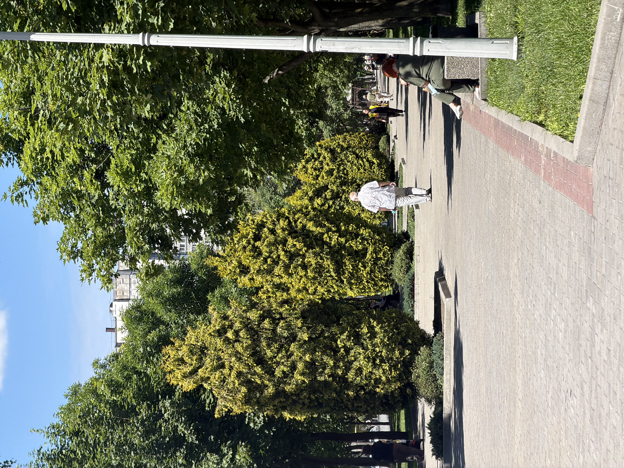 The image shows a sunny day in a park in Dnipro, Ukraine. A paved walkway with decorative brick edging runs through the center of the frame, flanked by manicured green lawns and rows of trees. In the foreground, a woman with red hair is seated on a park bench, looking down. Further down the walkway, several people are strolling, including a man in a light-colored shirt and pants. The walkway is lined with tall, conical evergreen trees with bright yellow-green foliage, creating a vibrant contrast with the surrounding greenery. In the background, a building with a distinctive architectural style, possibly a residential building or a public facility, is visible through the trees. A white lamppost stands on the right side of the image, adding to the park's ambiance. The sky is clear blue with a few scattered white clouds. The scene depicts a peaceful urban setting, with people enjoying the outdoors in a well-maintained park.
