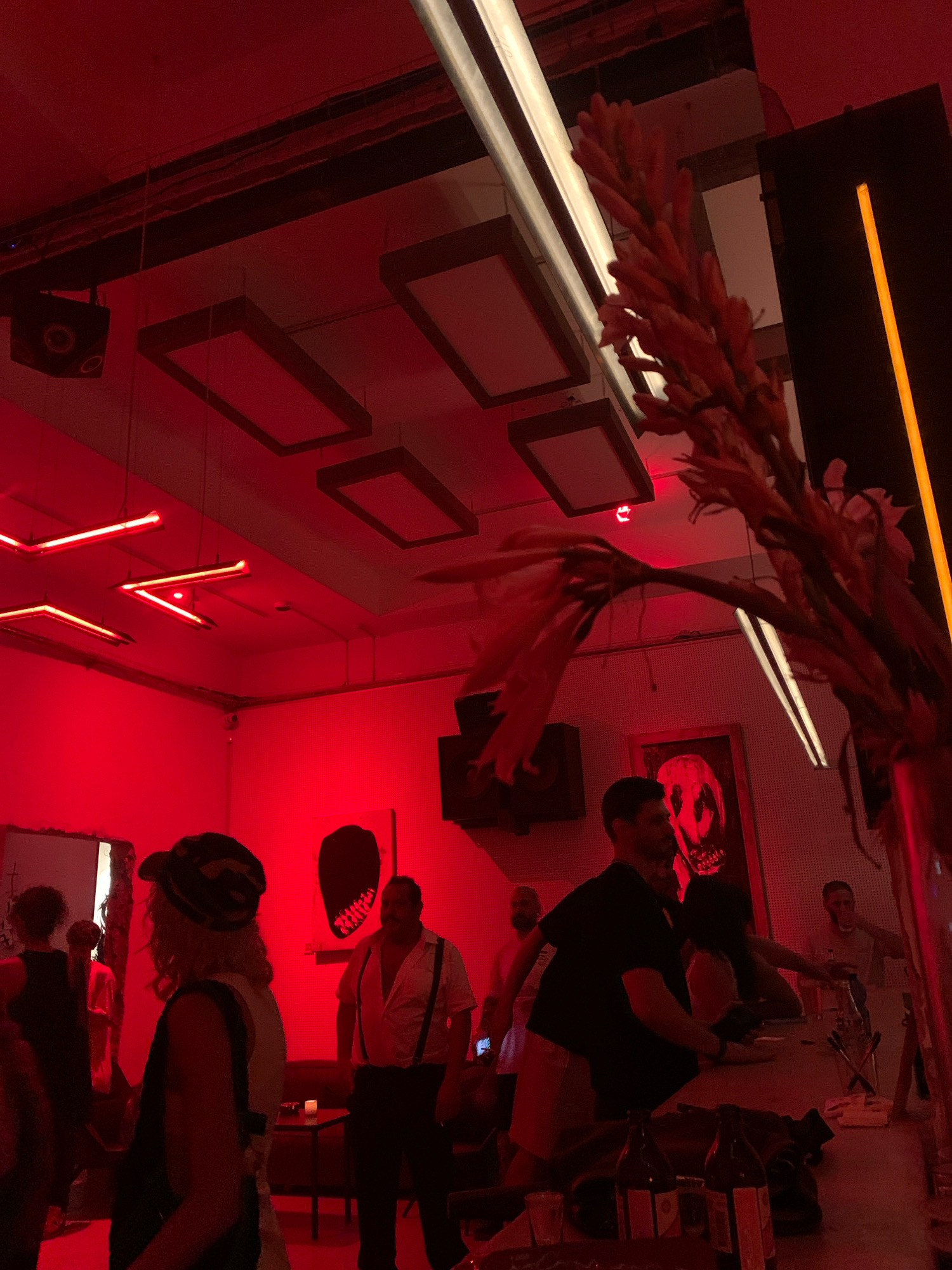 The image depicts the interior of a dimly lit venue, bathed in intense red lighting, likely a nightclub or bar in Tel Aviv, Israel. Several people are present, some appearing to dance or socialize. In the foreground, a person wearing a cap and vest is partially visible, facing away from the camera. To the right, a man in a white shirt and suspenders stands, looking towards the side. In the background, other individuals are scattered throughout the space, with some gathered around a bar area where bottles are visible. The environment features a modern ceiling with rectangular light fixtures and suspended neon lights, contributing to the vibrant, energetic atmosphere. A framed artwork with a red, skull-like image is displayed on the wall. A decorative plant with dry, reddish-brown flowers is positioned in the right side of the frame, partially obscuring the view of the room. The overall scene suggests a lively night out at an entertainment venue.
